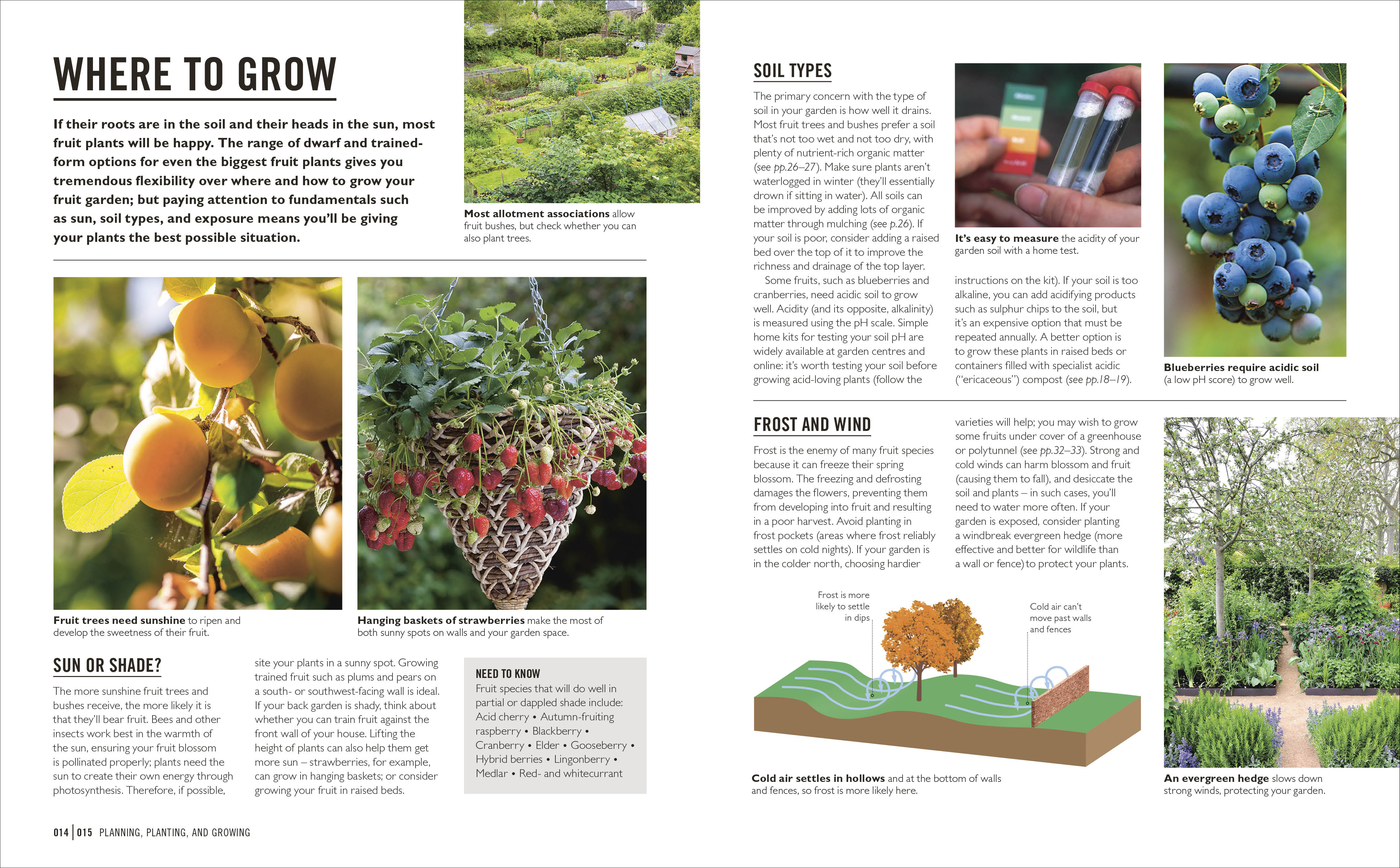 Grow Fruit - Image 2