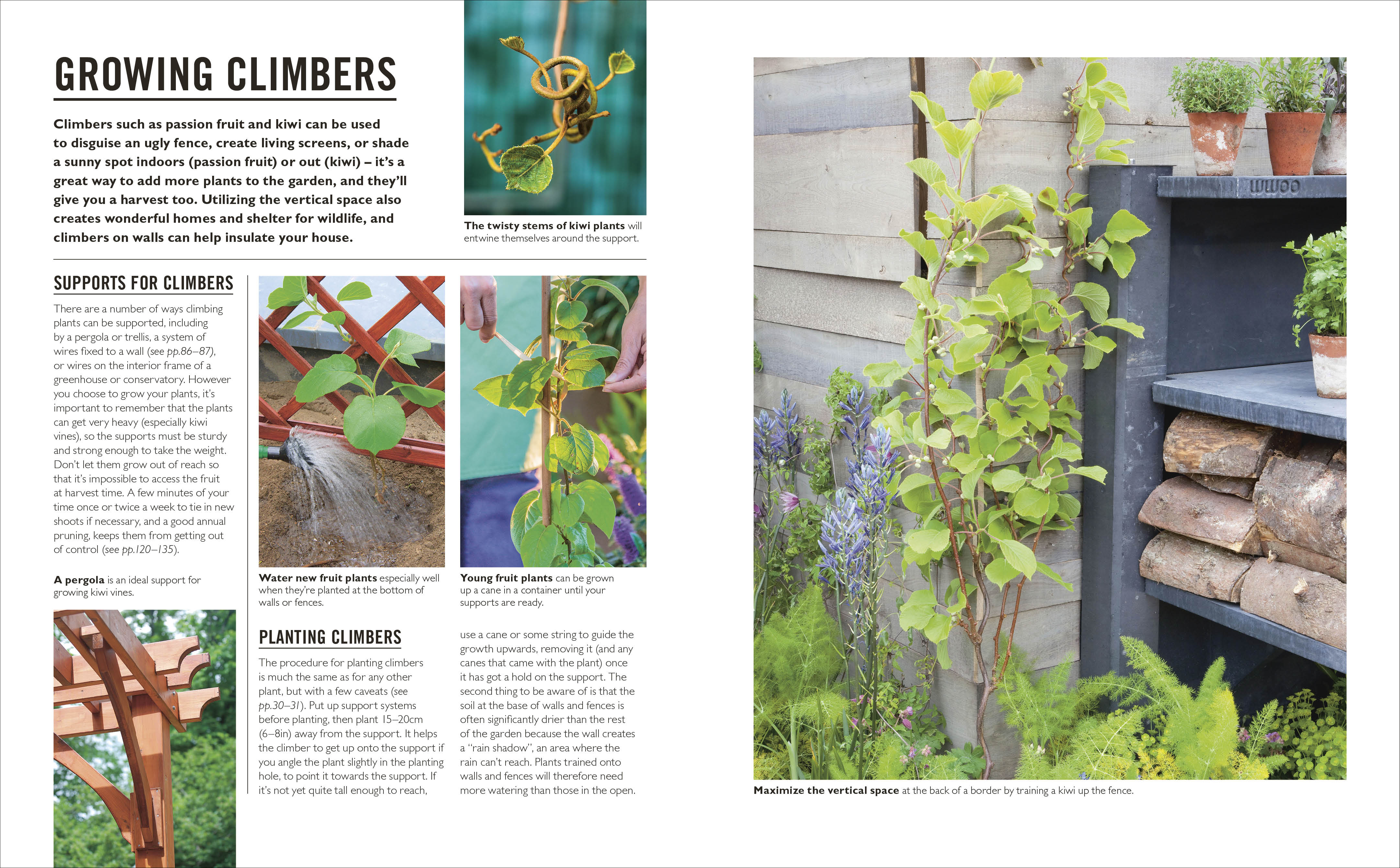 Grow Fruit - Image 6