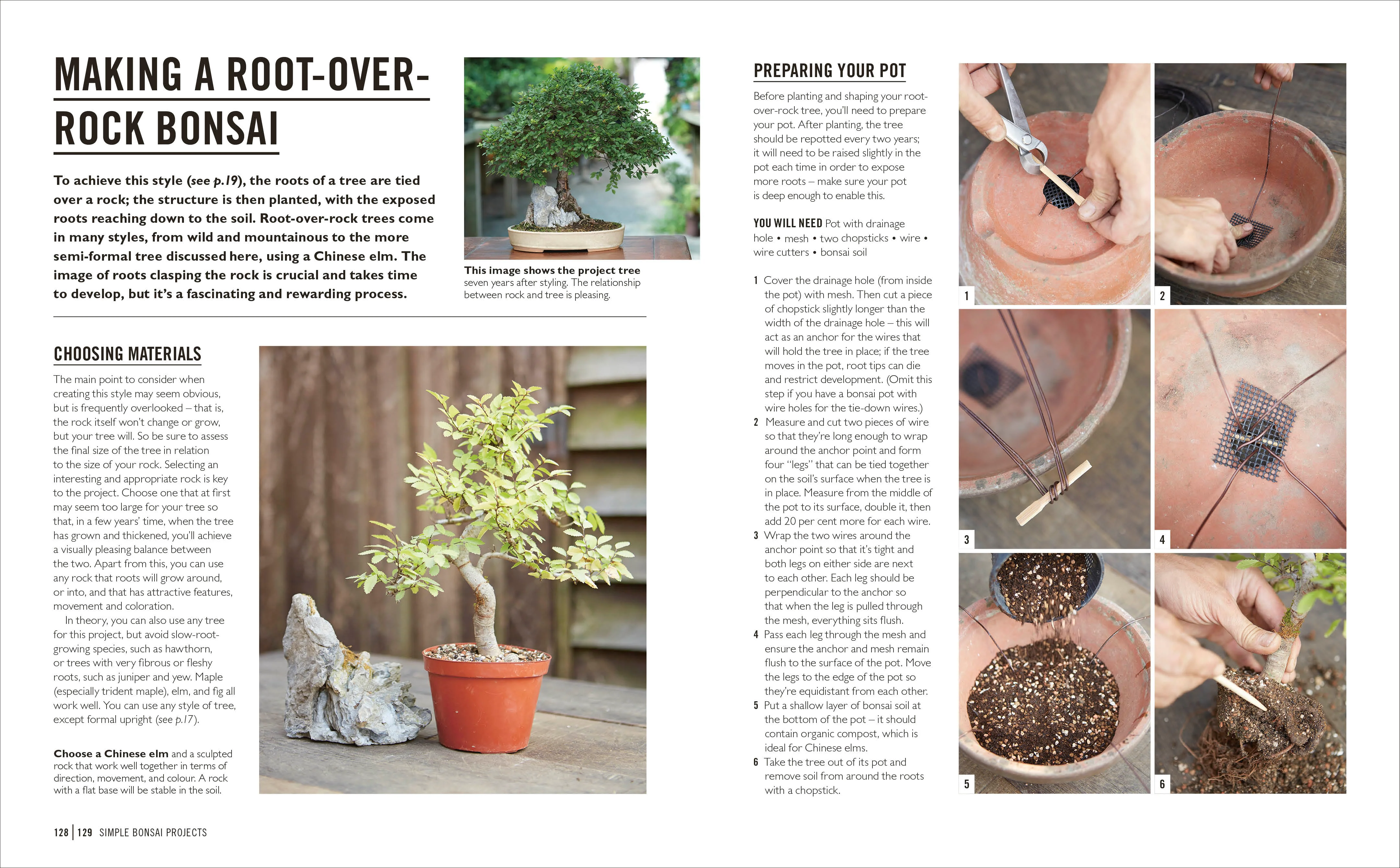 Grow Bonsai - Image 6