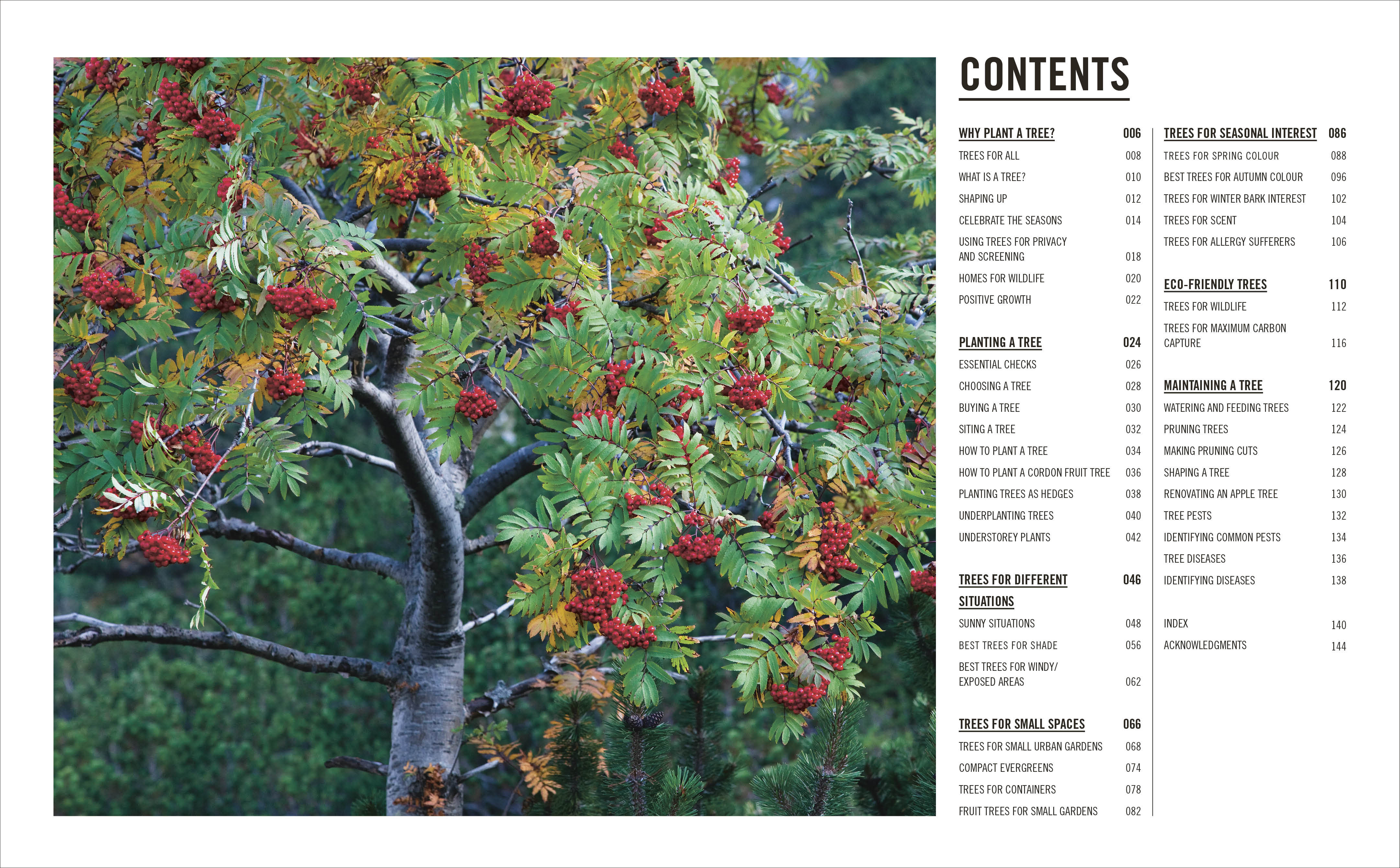 Grow Trees - Image 2