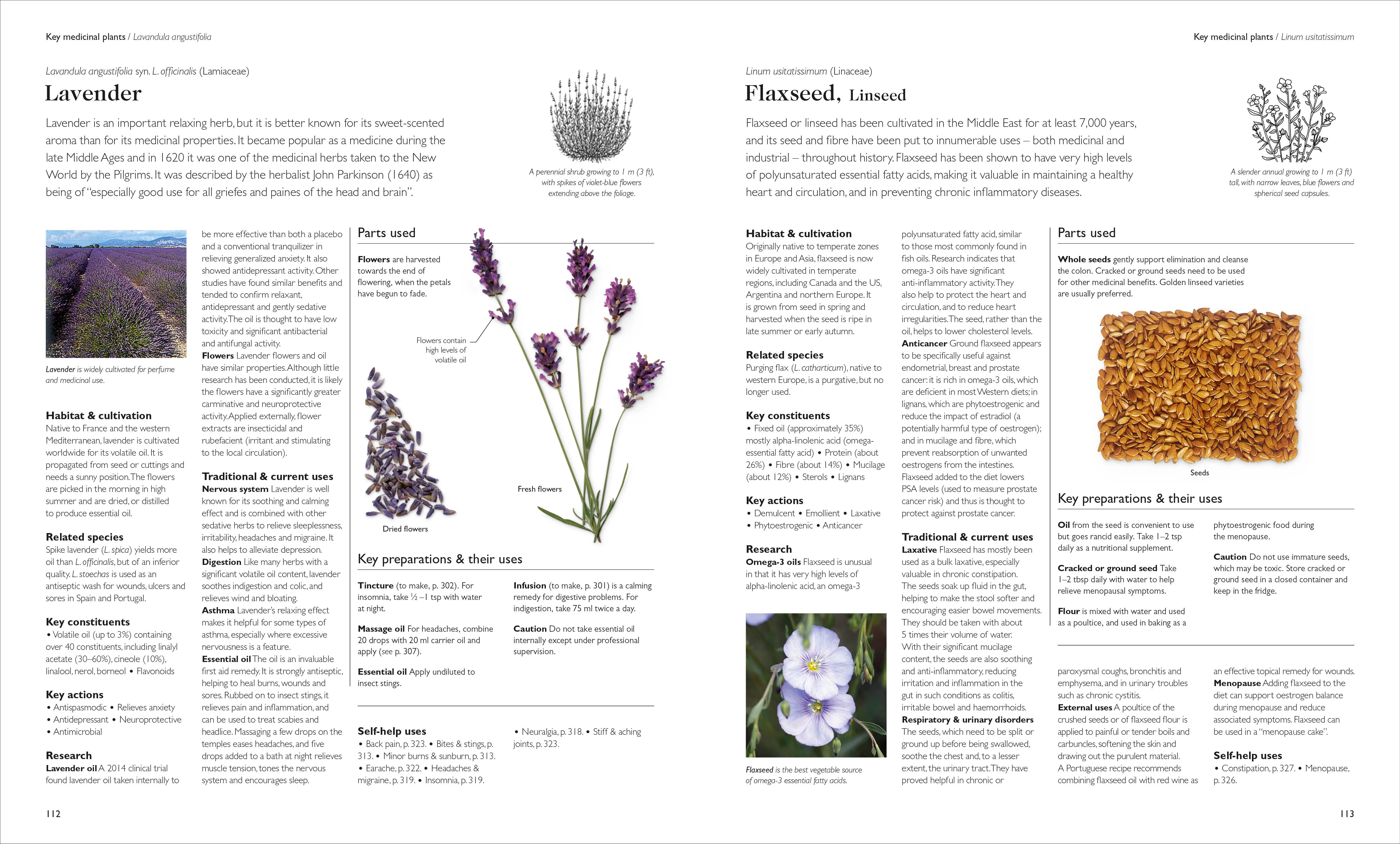 Encyclopedia of Herbal Medicine New Edition - Image 5