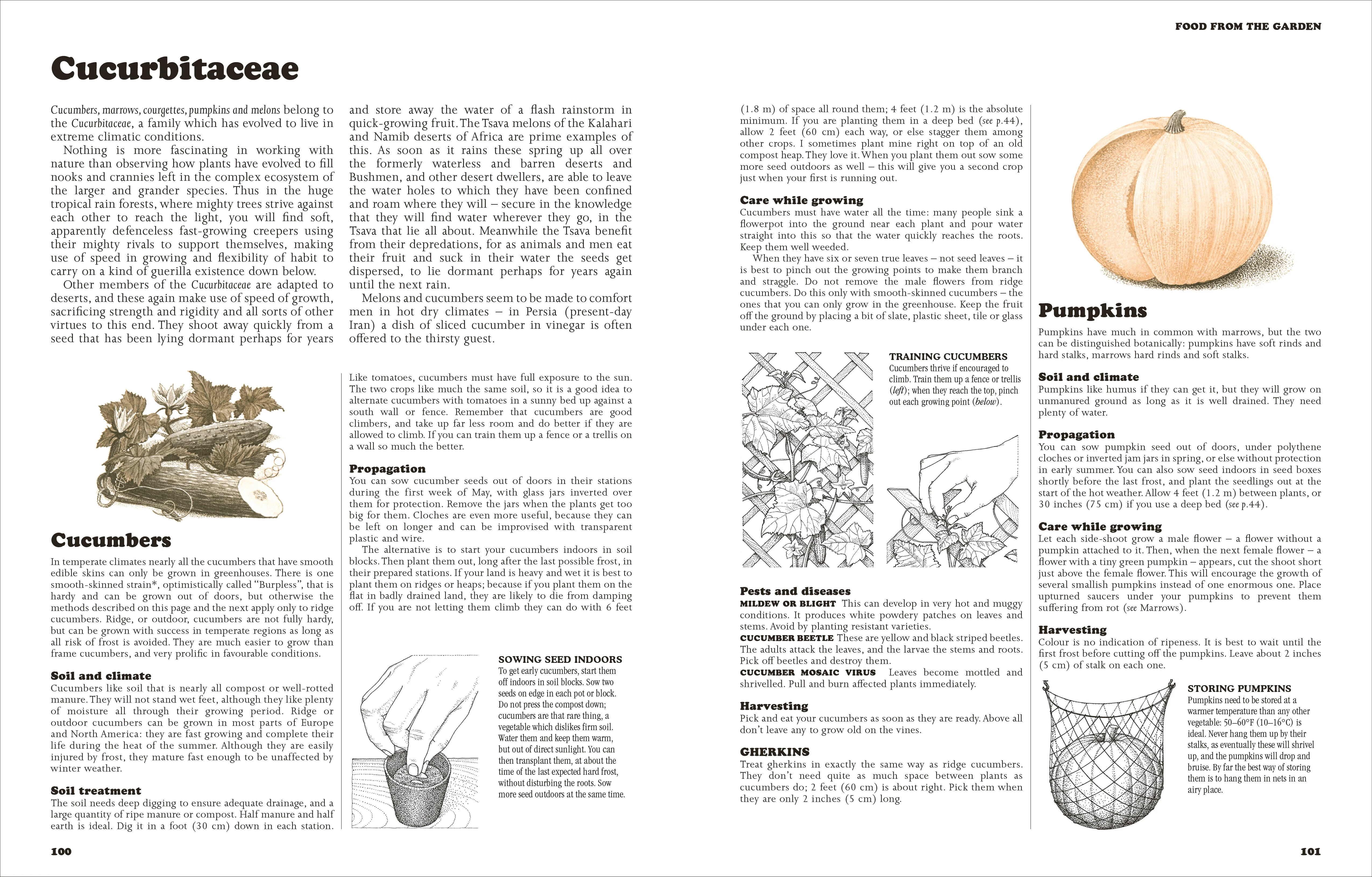 The Complete Book of Self-Sufficiency - Image 3