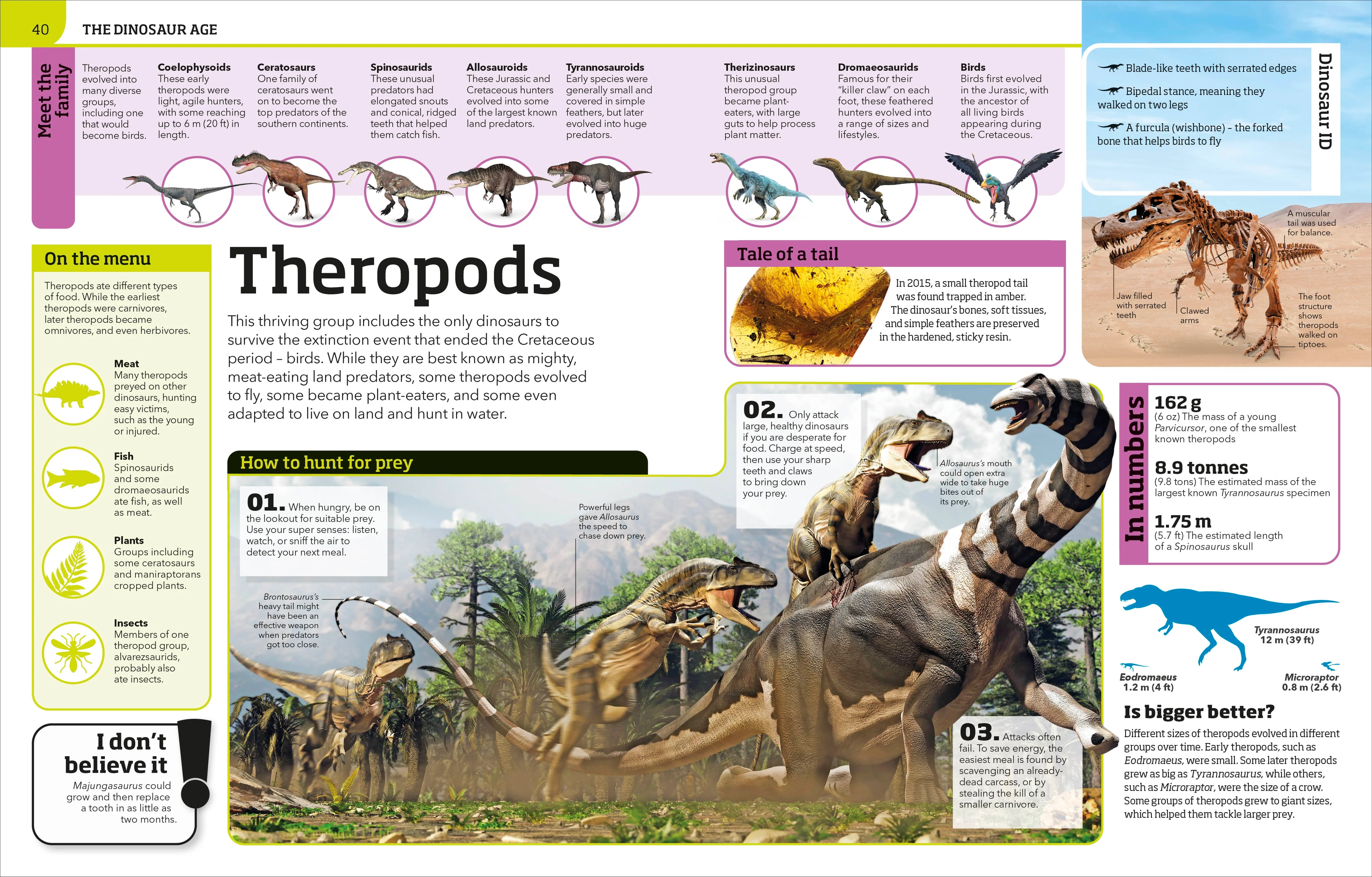 Dinosaur Knowledge Genius! - Image 2