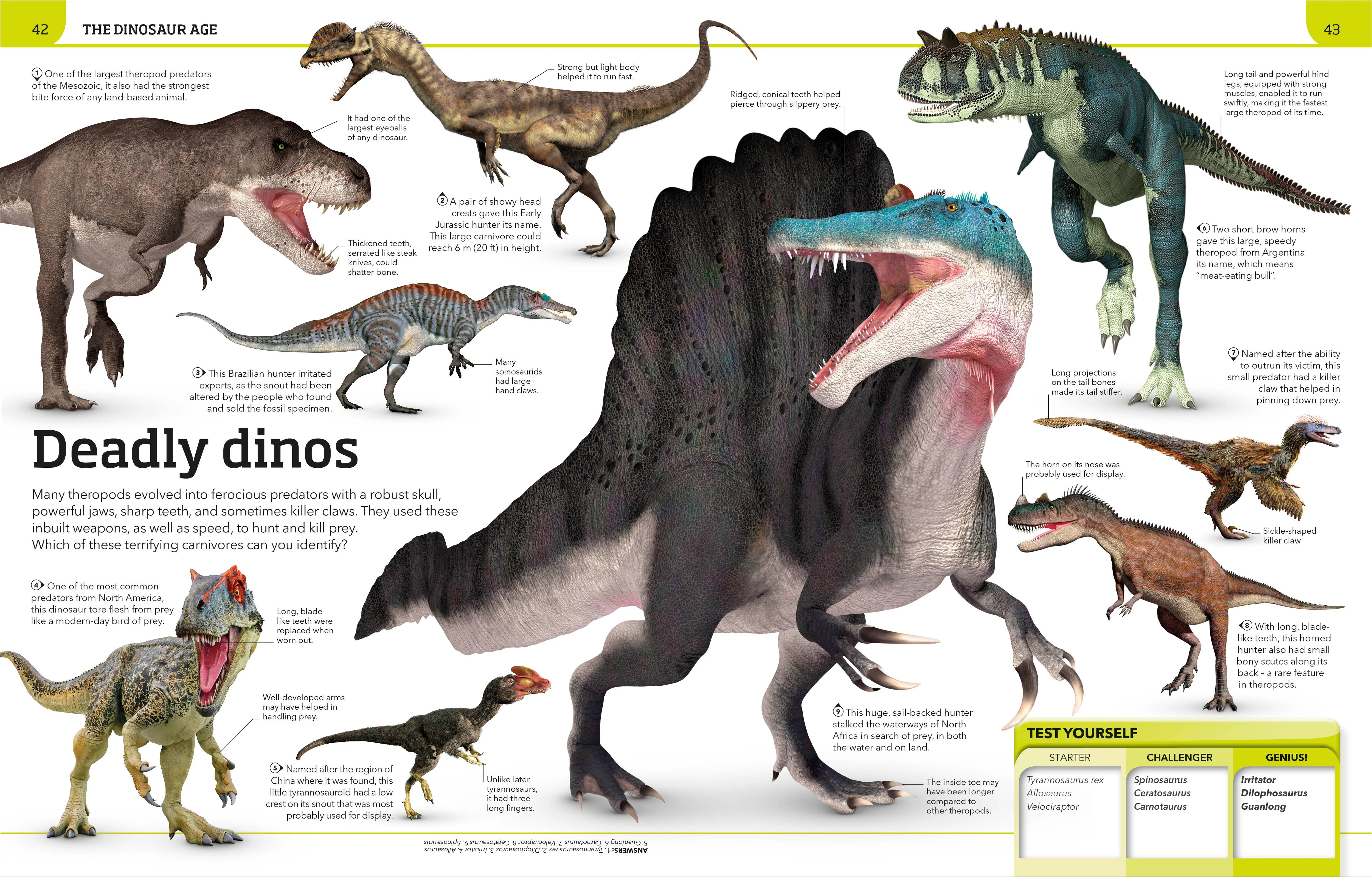 Dinosaur Knowledge Genius! - Image 3