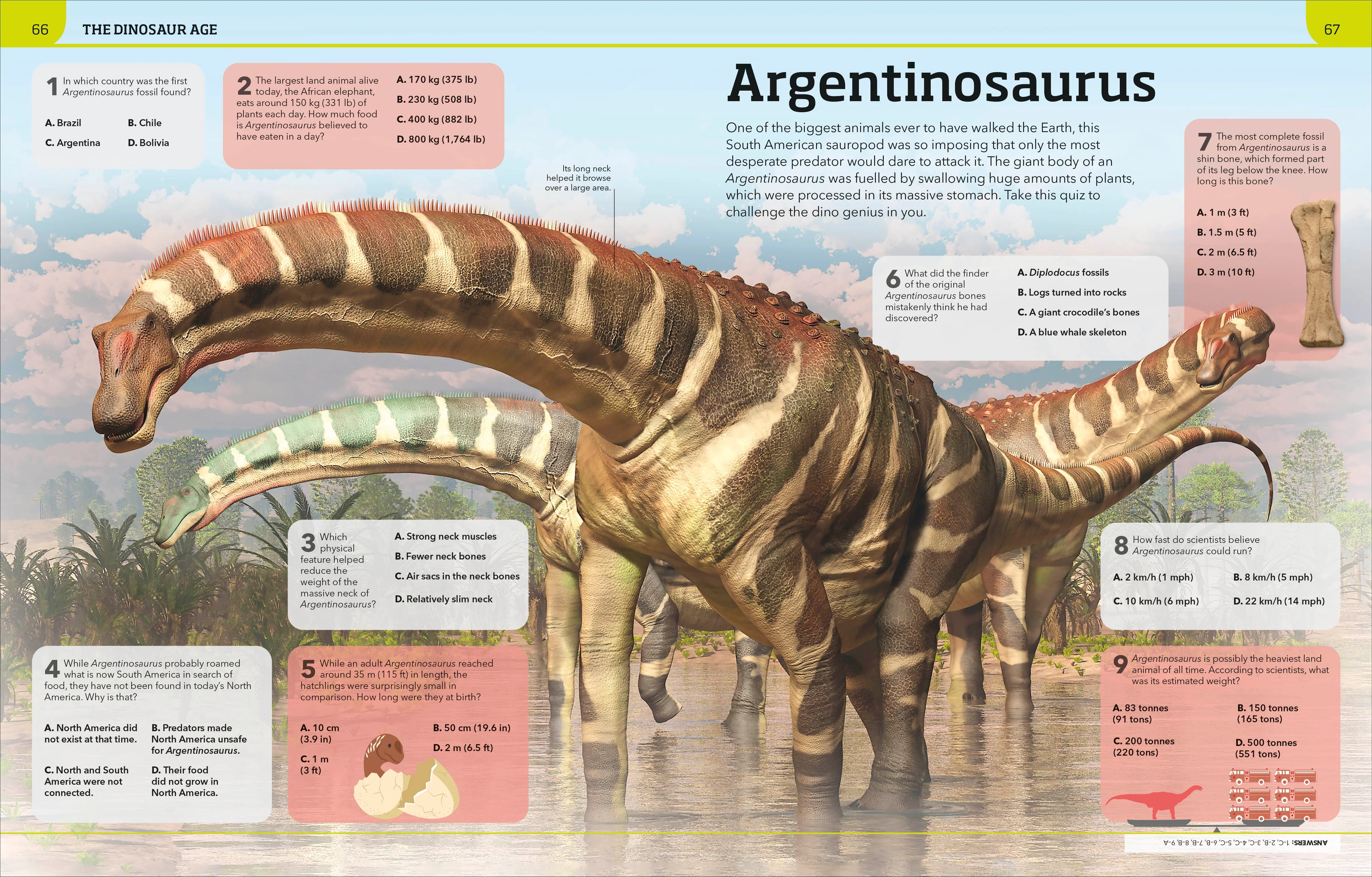 Dinosaur Knowledge Genius! - Image 4