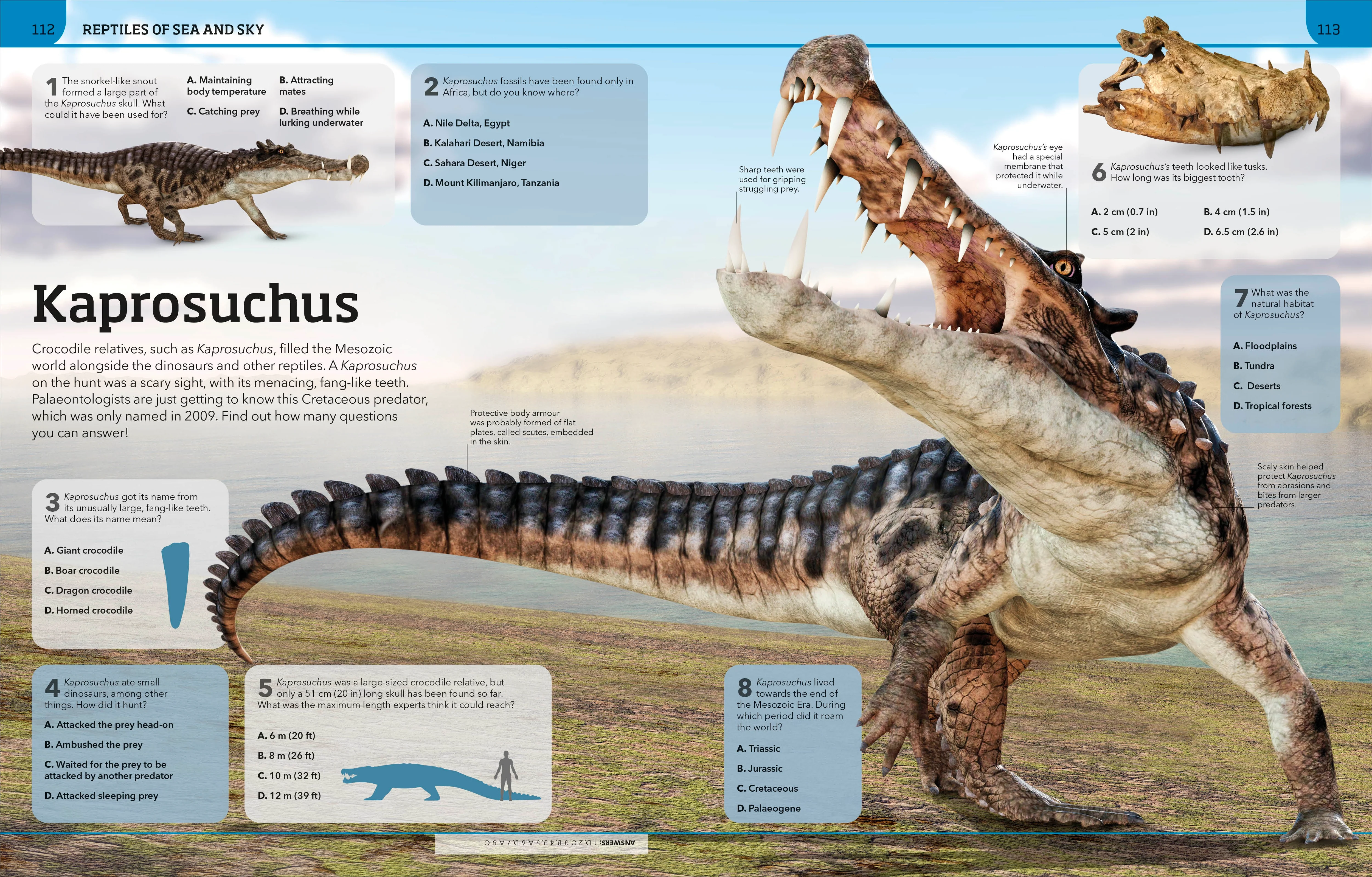 Dinosaur Knowledge Genius! - Image 7
