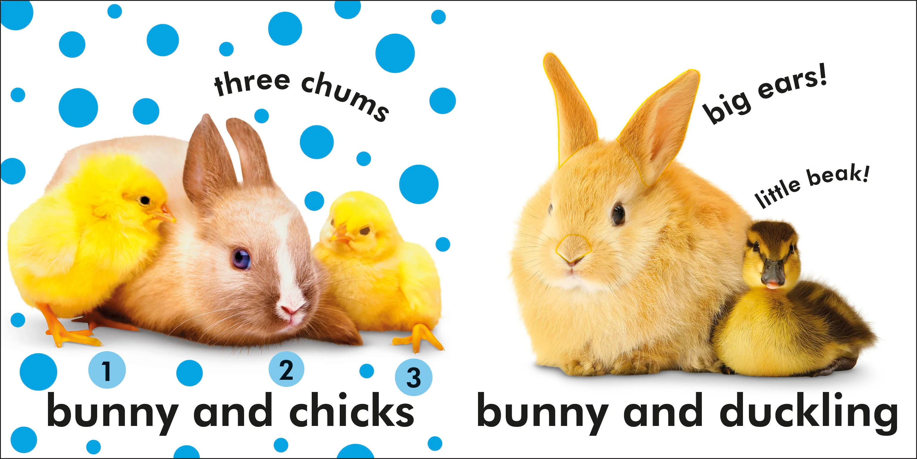Baby Touch and Feel Bunny - Image 4