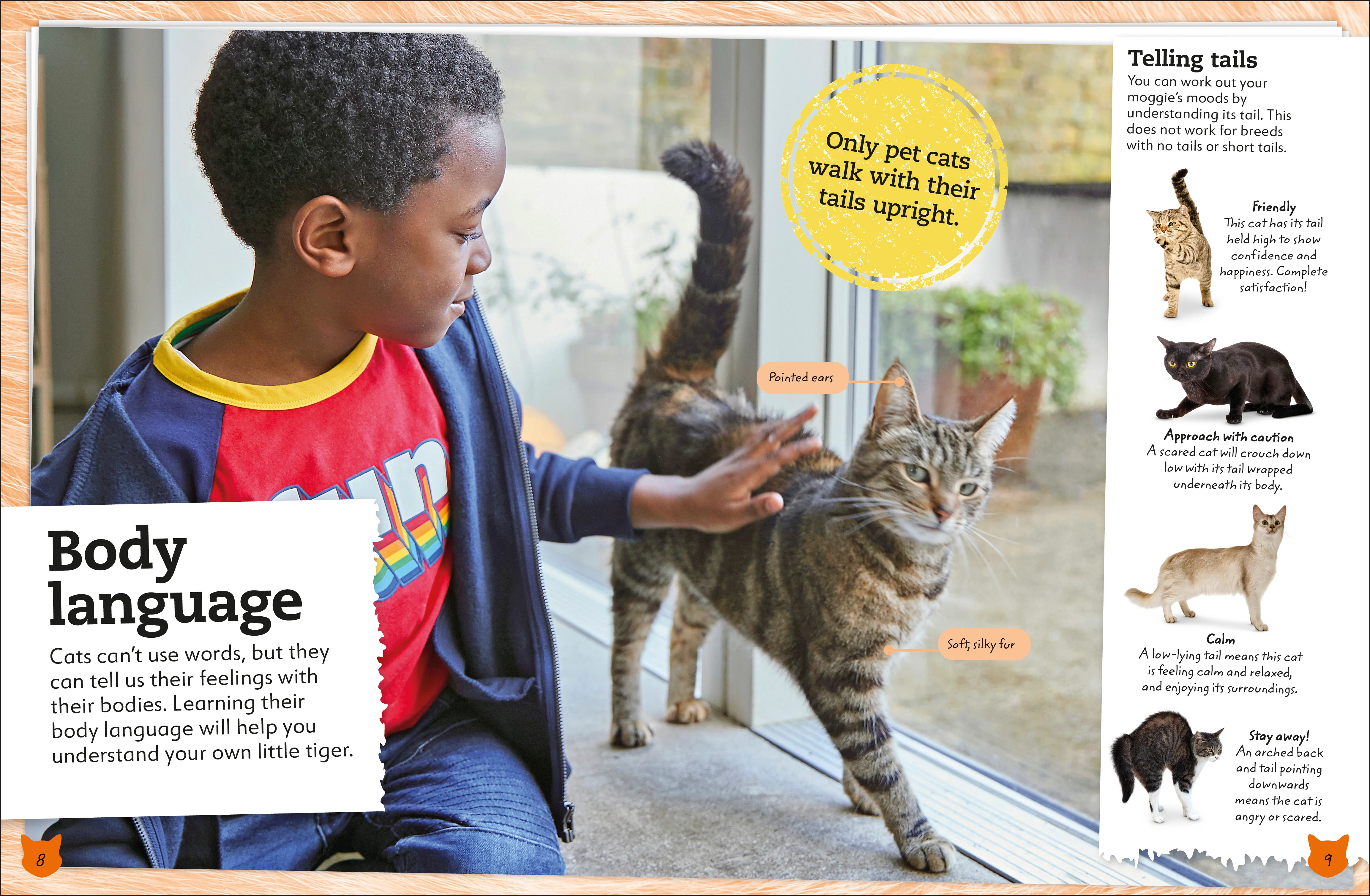 My Book of Cats and Kittens - Image 2