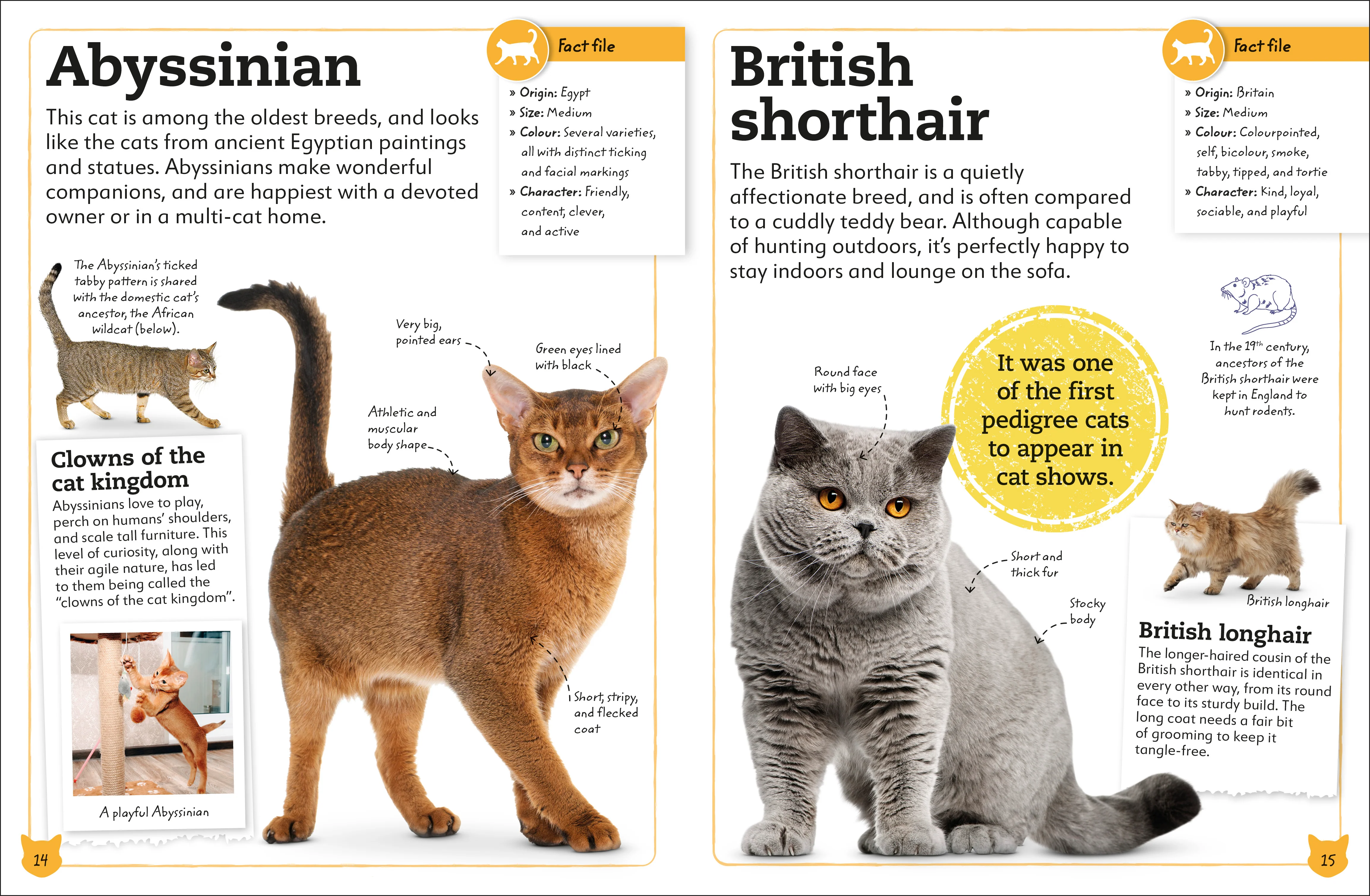 My Book of Cats and Kittens - Image 3