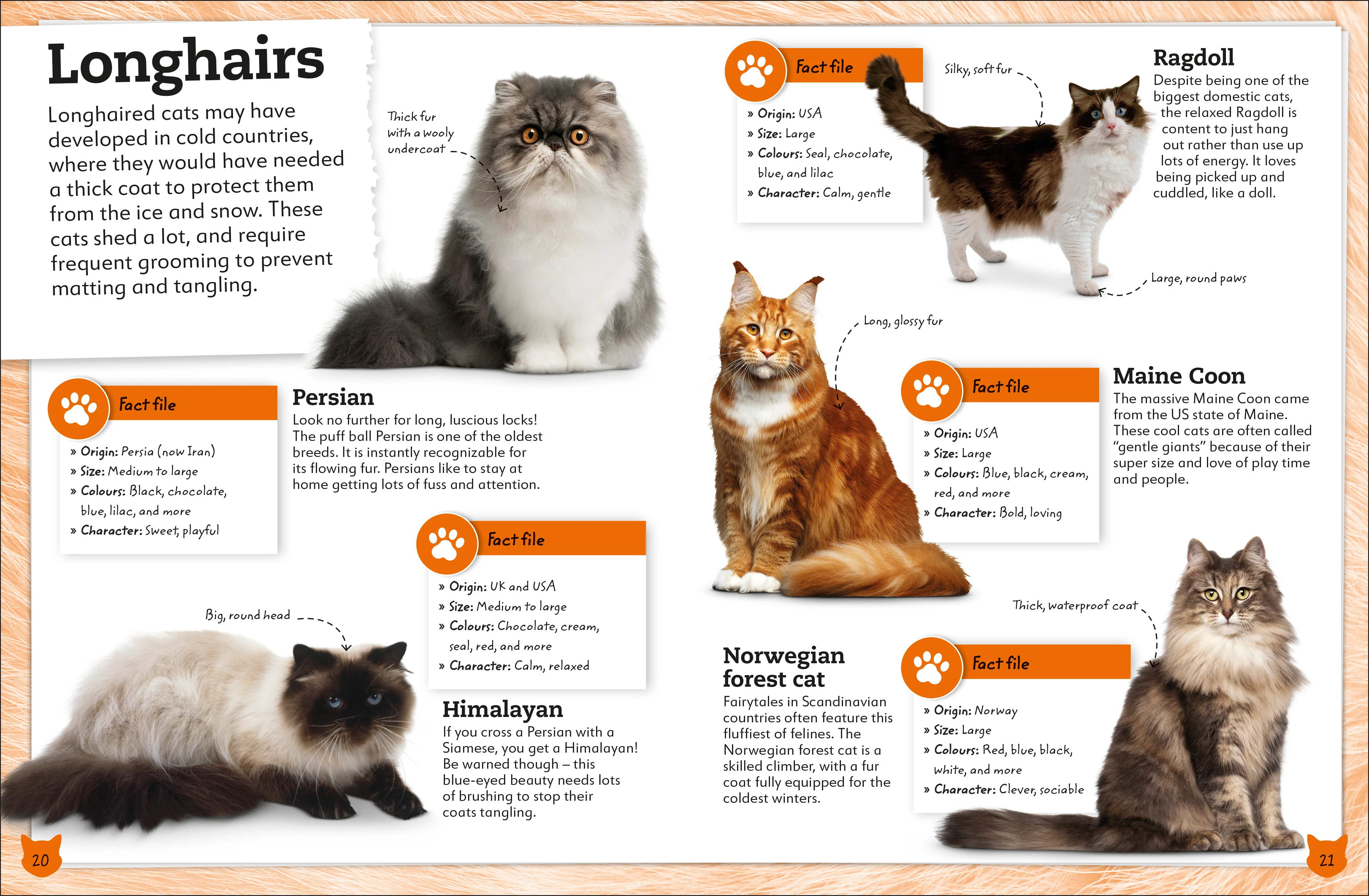 My Book of Cats and Kittens - Image 4