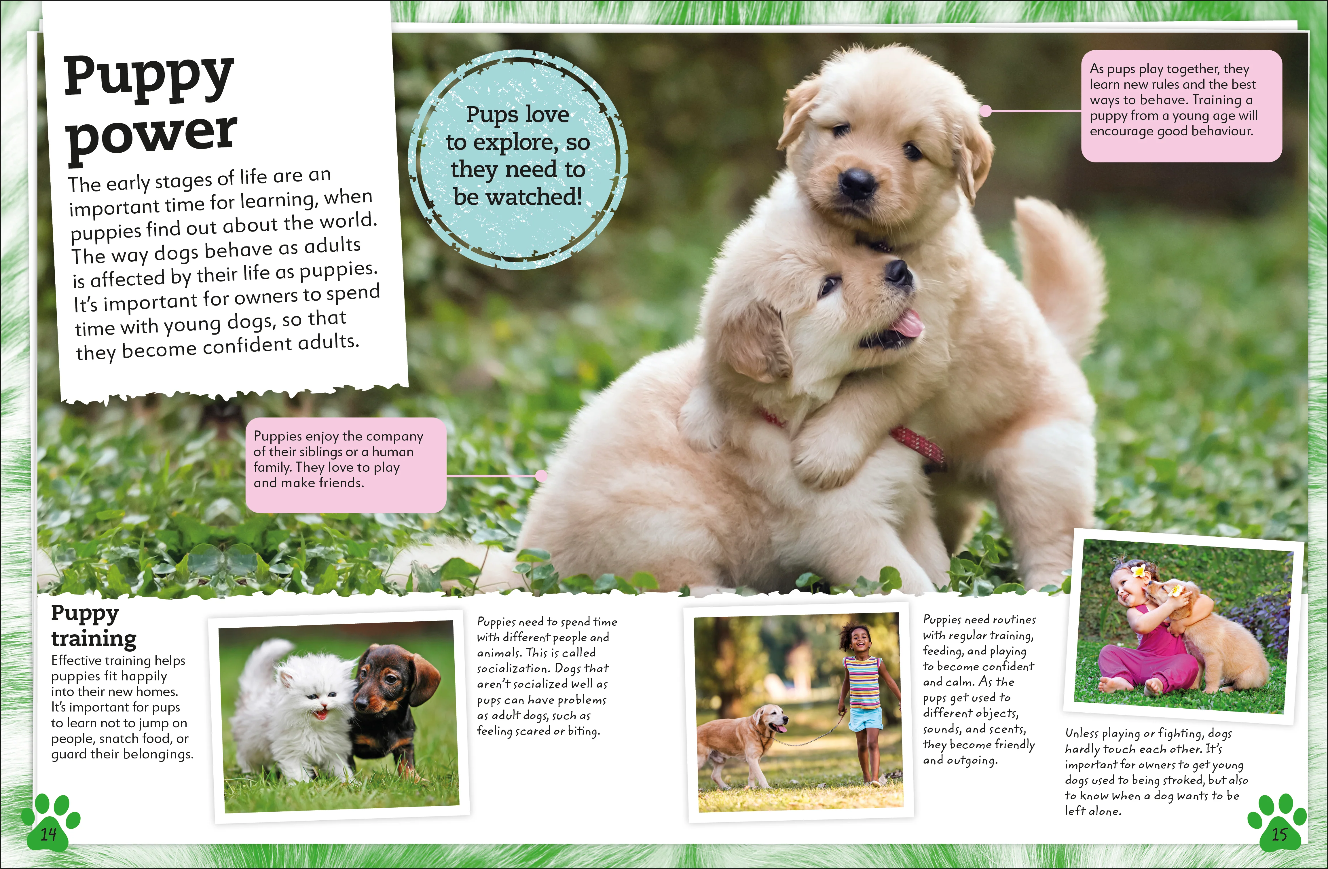My Book of Dogs and Puppies - Image 2