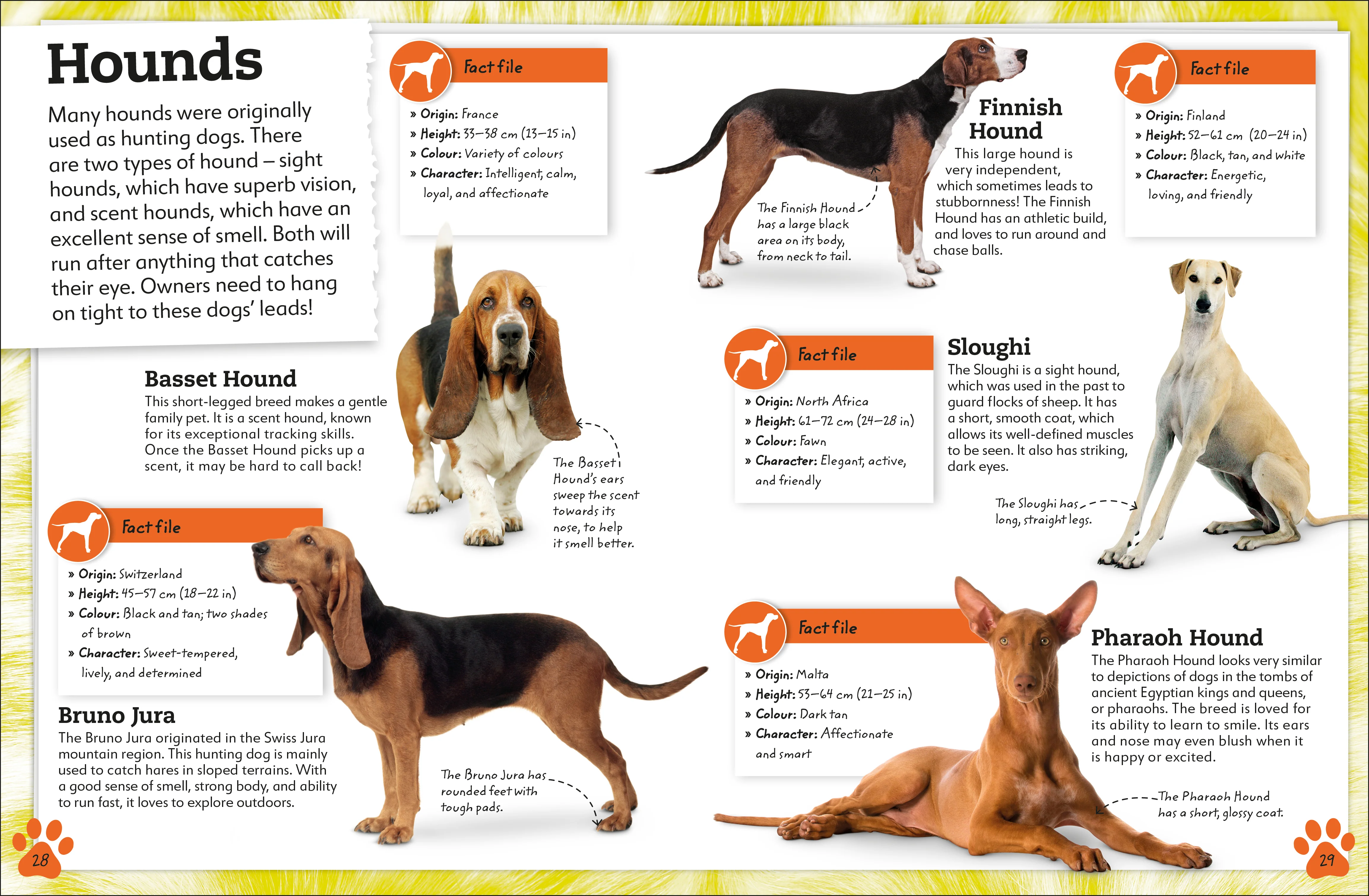 My Book of Dogs and Puppies - Image 3