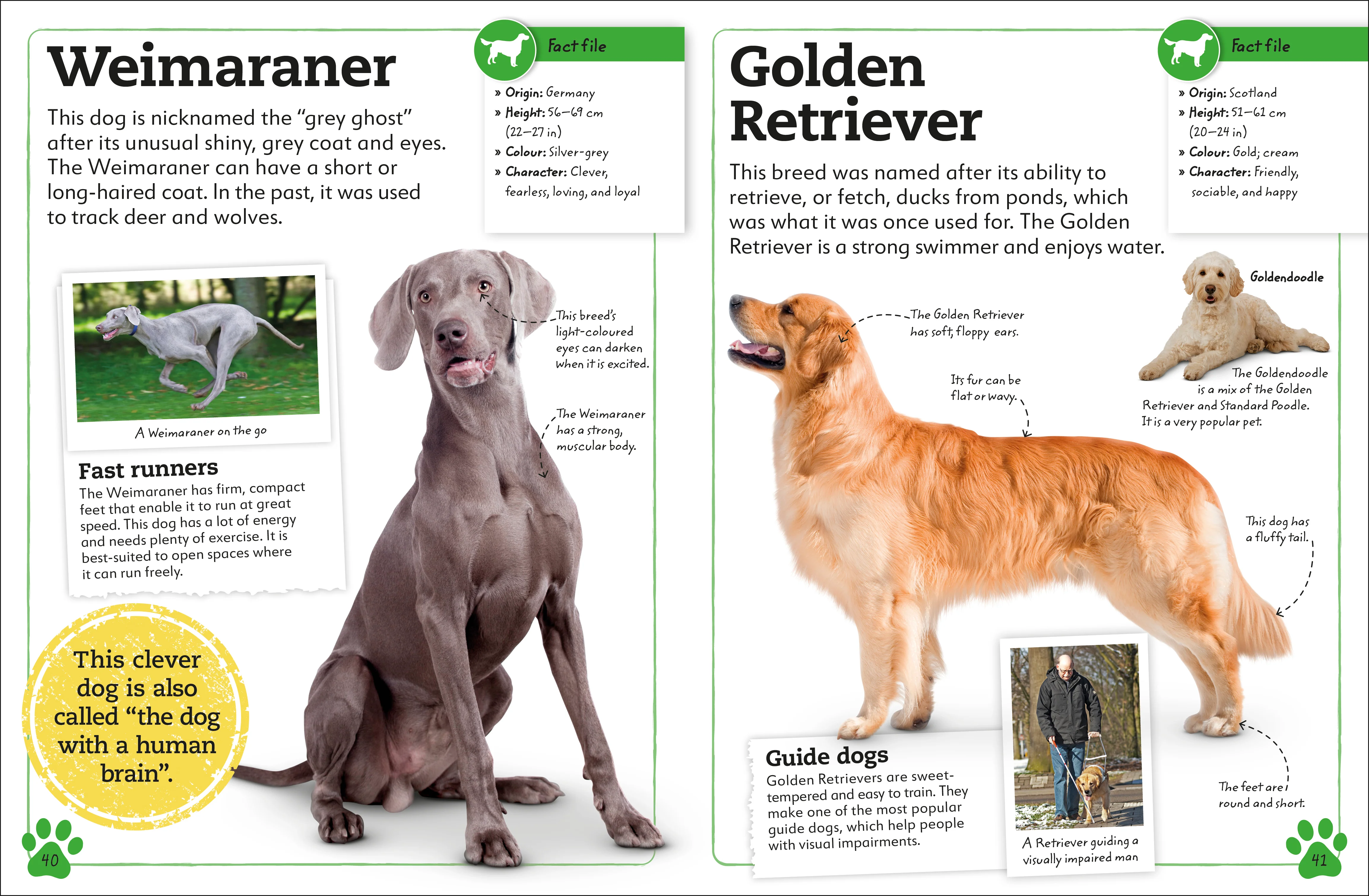 My Book of Dogs and Puppies - Image 4