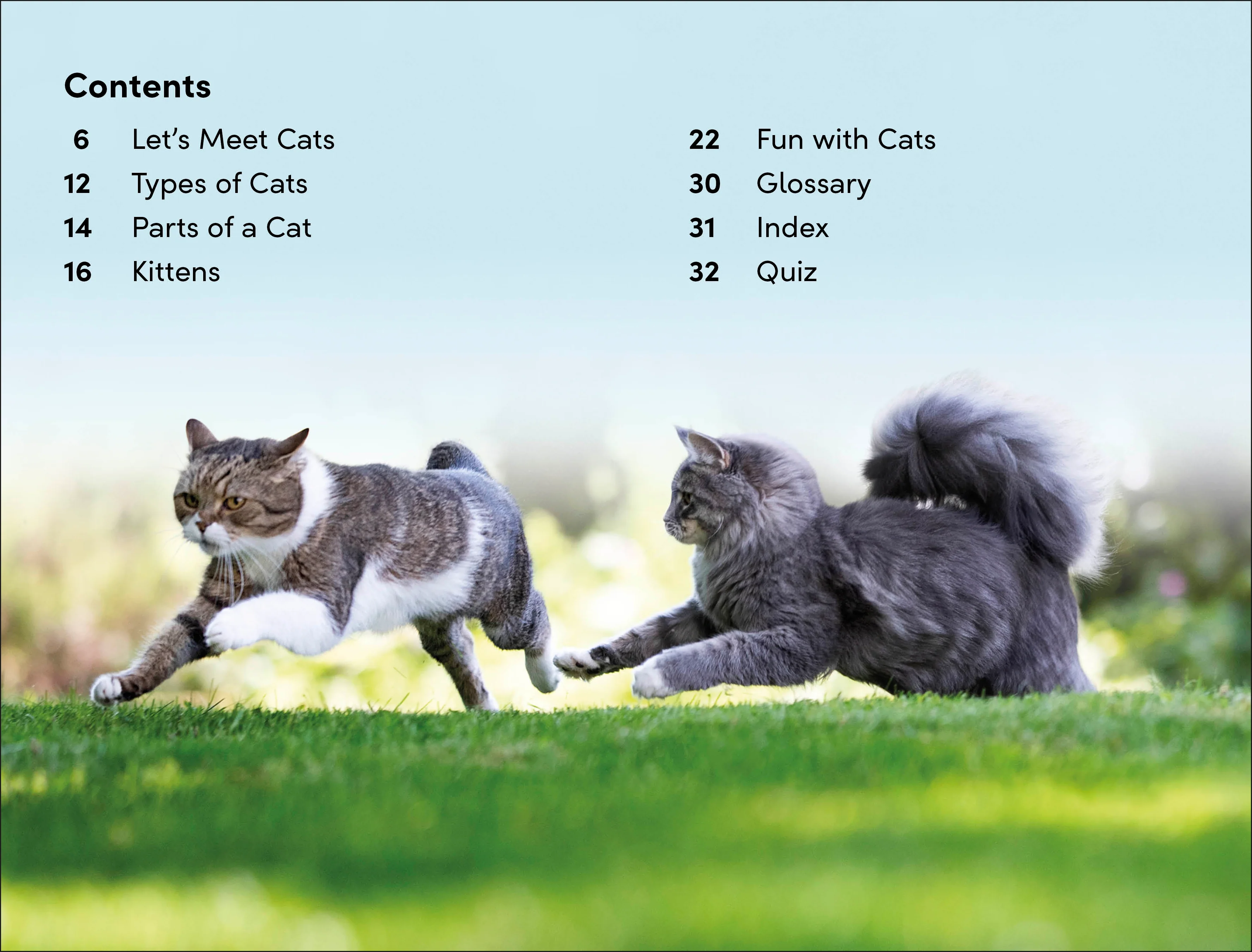 DK Super Readers Level 2 Cats and Kittens - Image 2