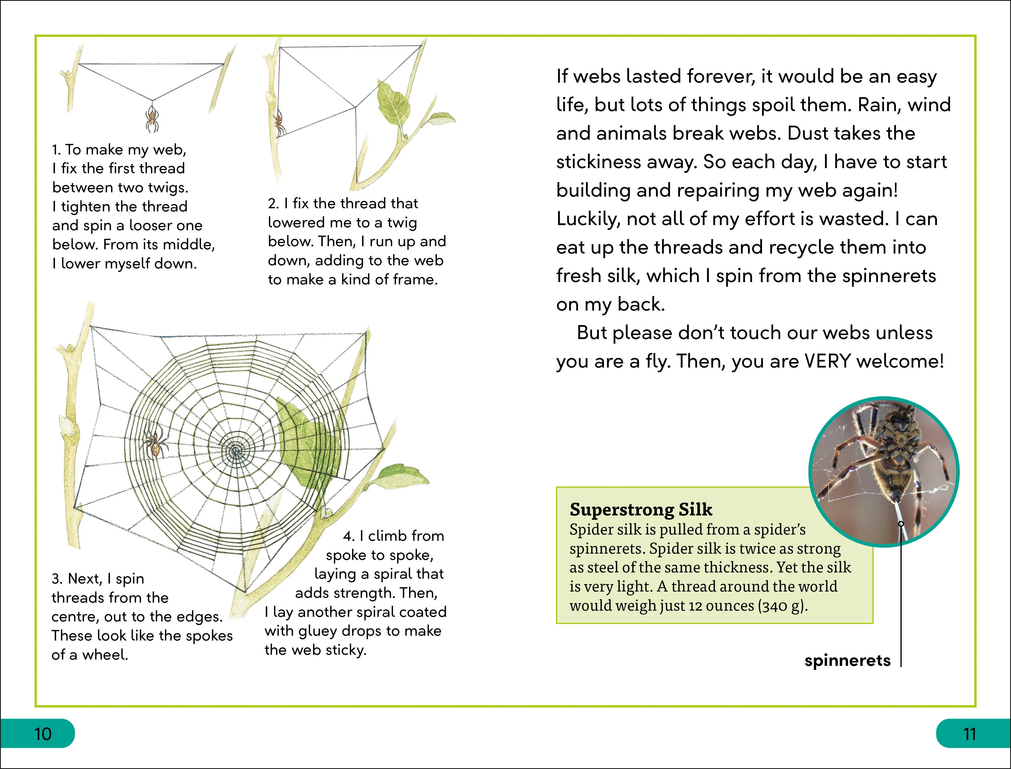 DK Super Readers Level 3 Spiders' Secrets - Image 3