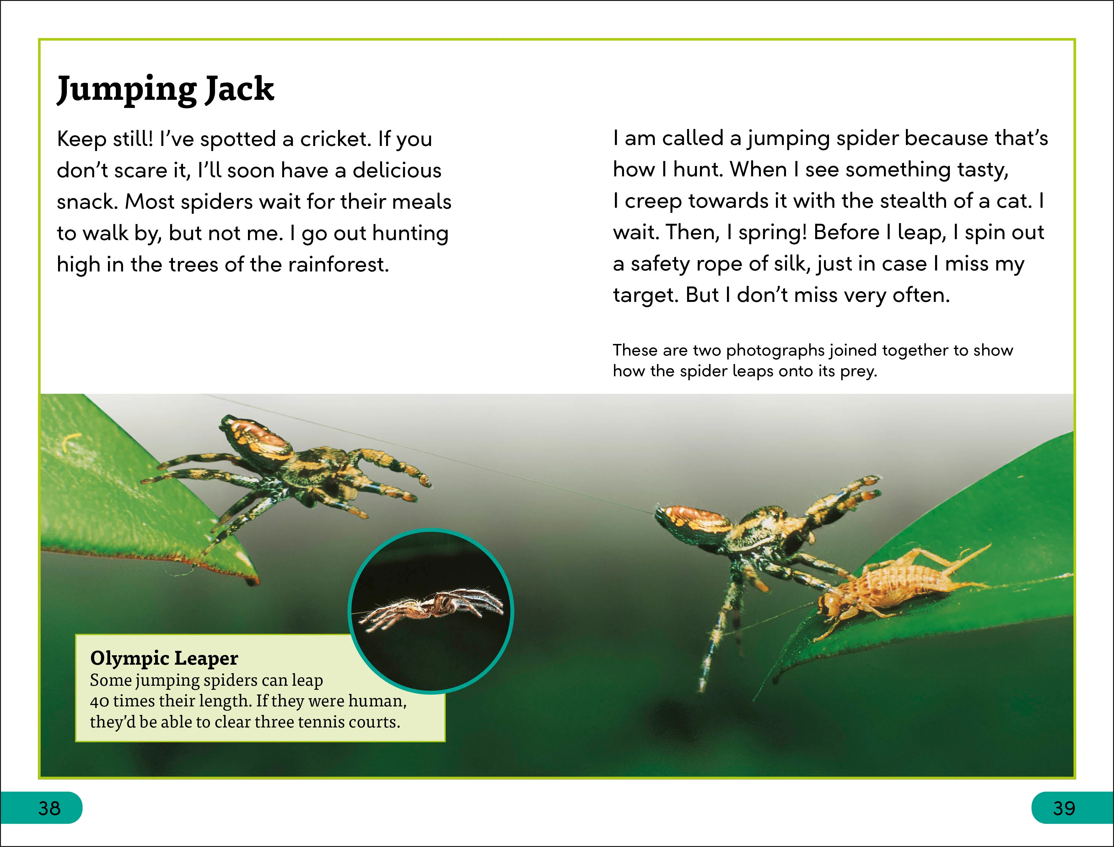 DK Super Readers Level 3 Spiders' Secrets - Image 4