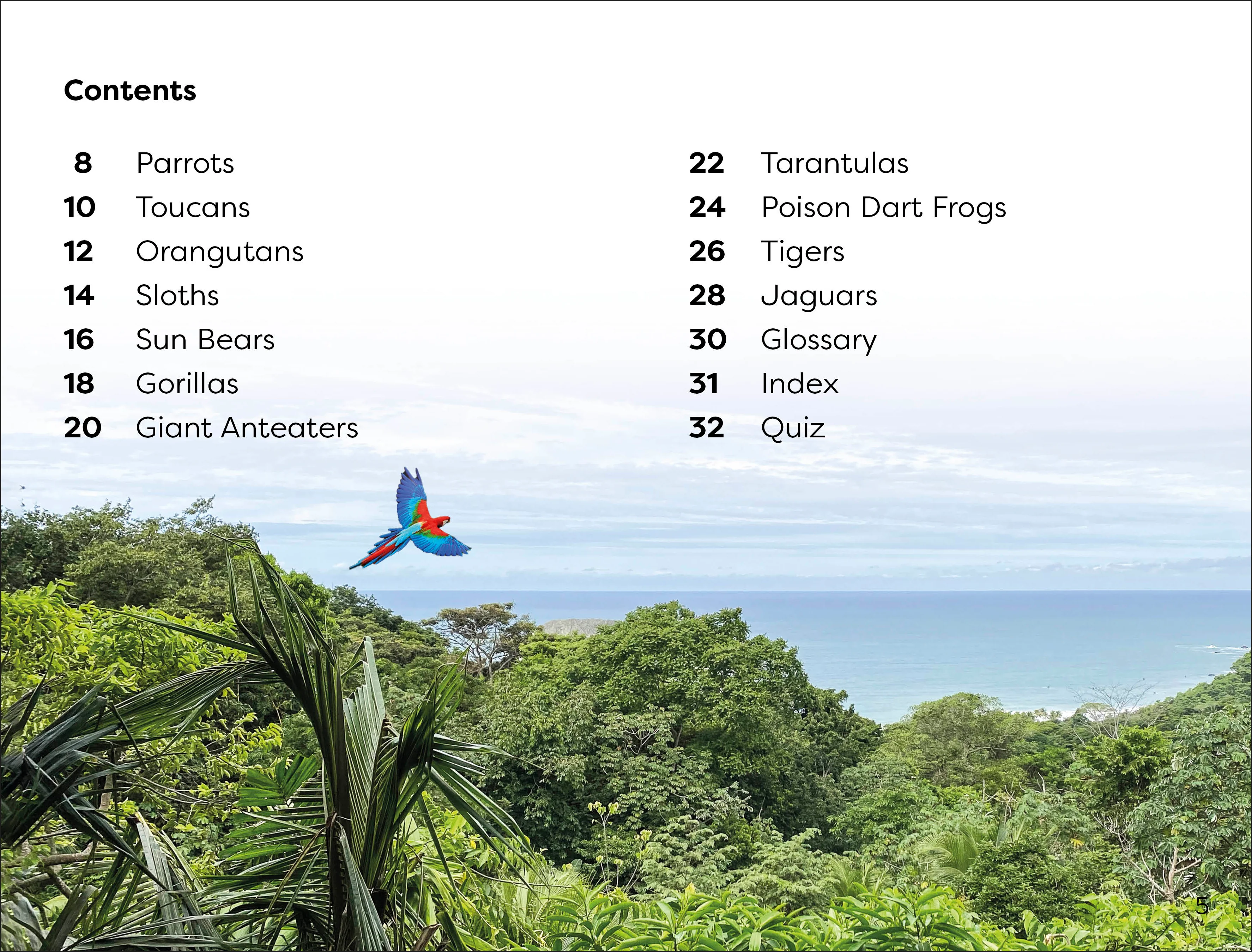 DK Super Readers Level 1 Jungle Animals - Image 2