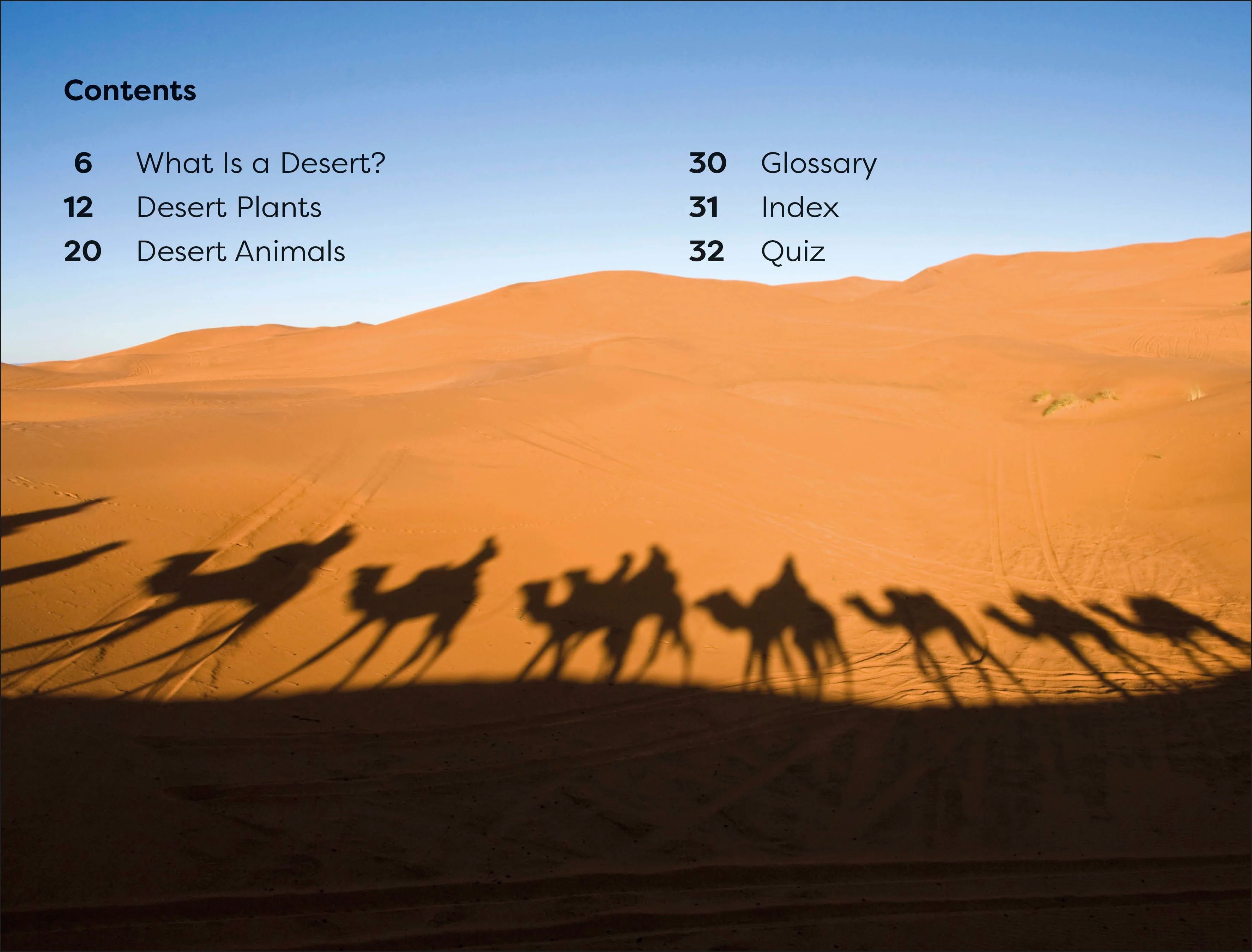 DK Super Readers Level 1 Desert Plants and Animals - Image 2