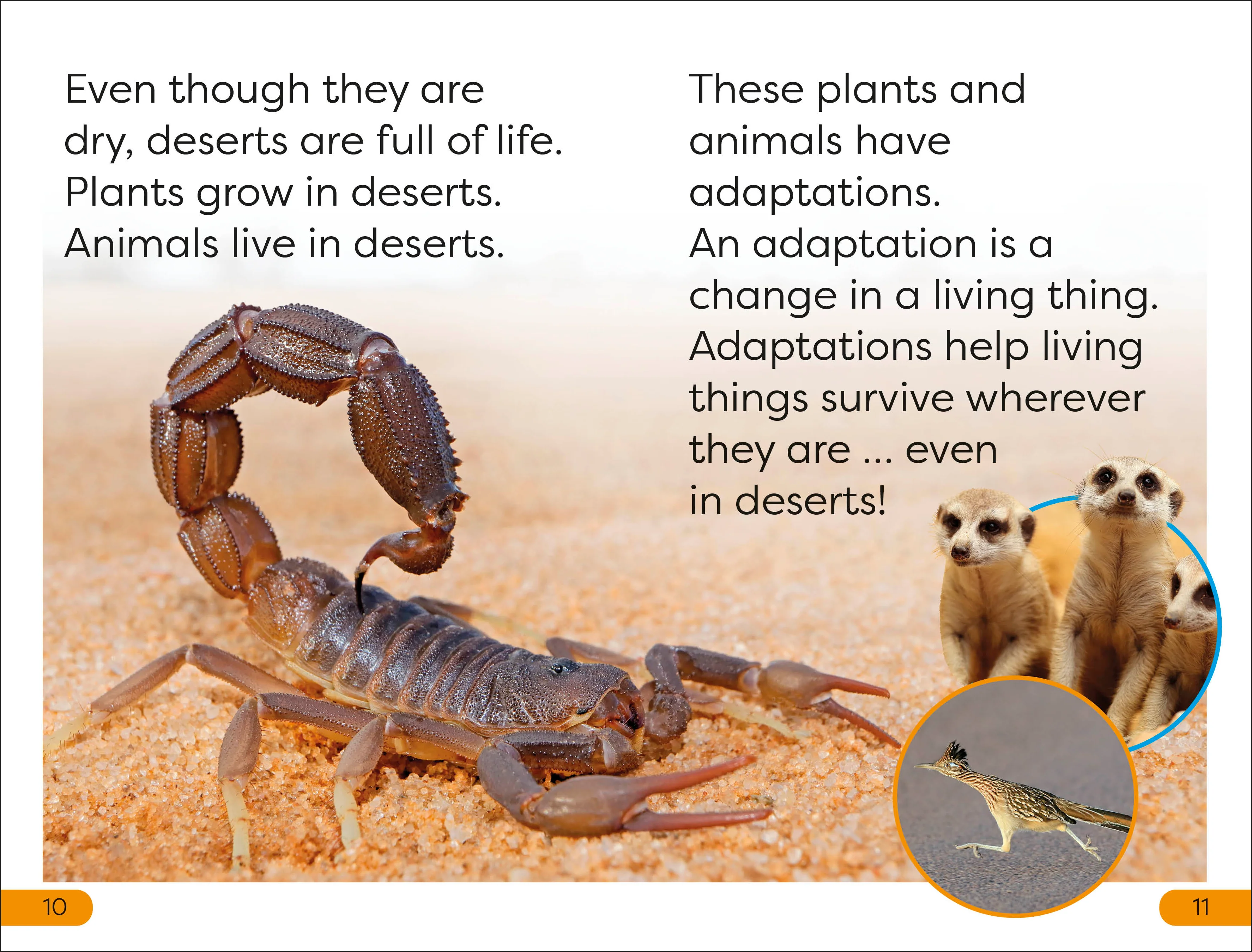 DK Super Readers Level 1 Desert Plants and Animals - Image 3