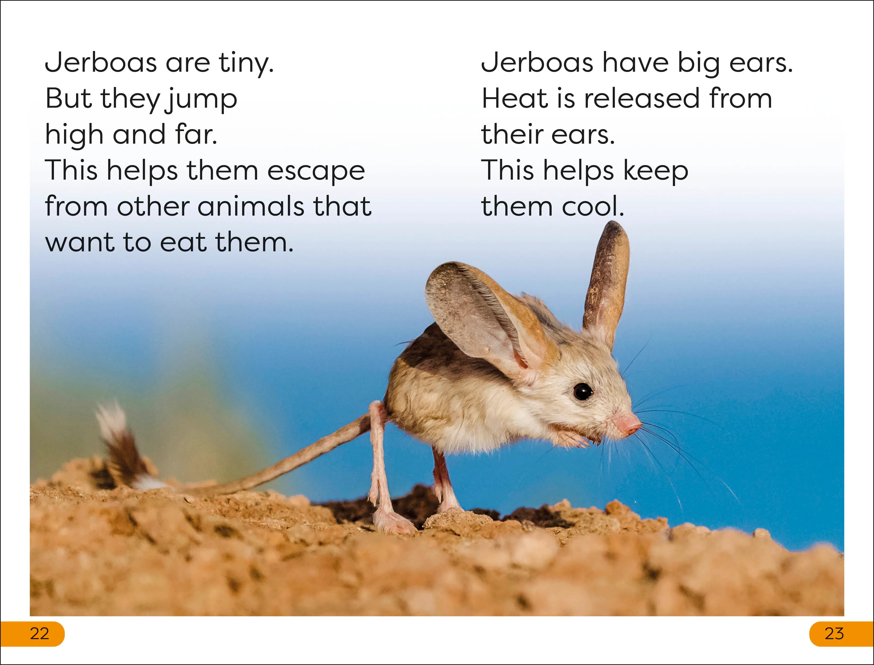 DK Super Readers Level 1 Desert Plants and Animals - Image 4