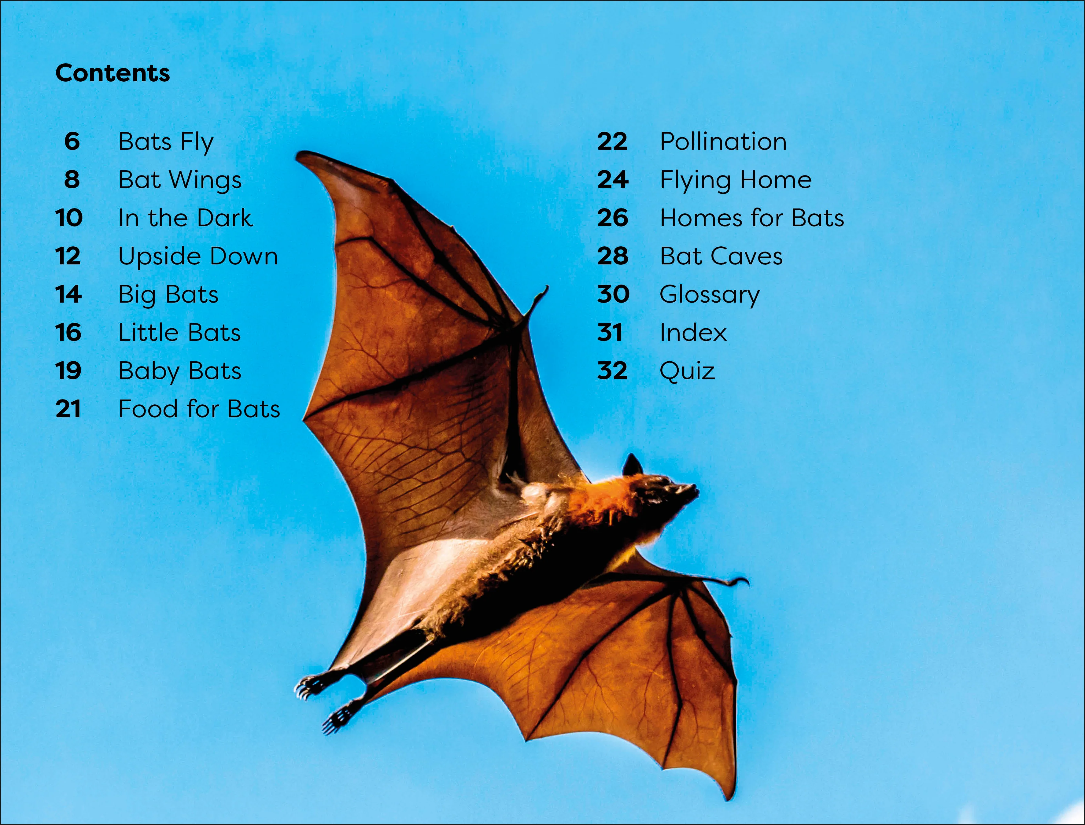 DK Super Readers Level 1 All About Bats - Image 2