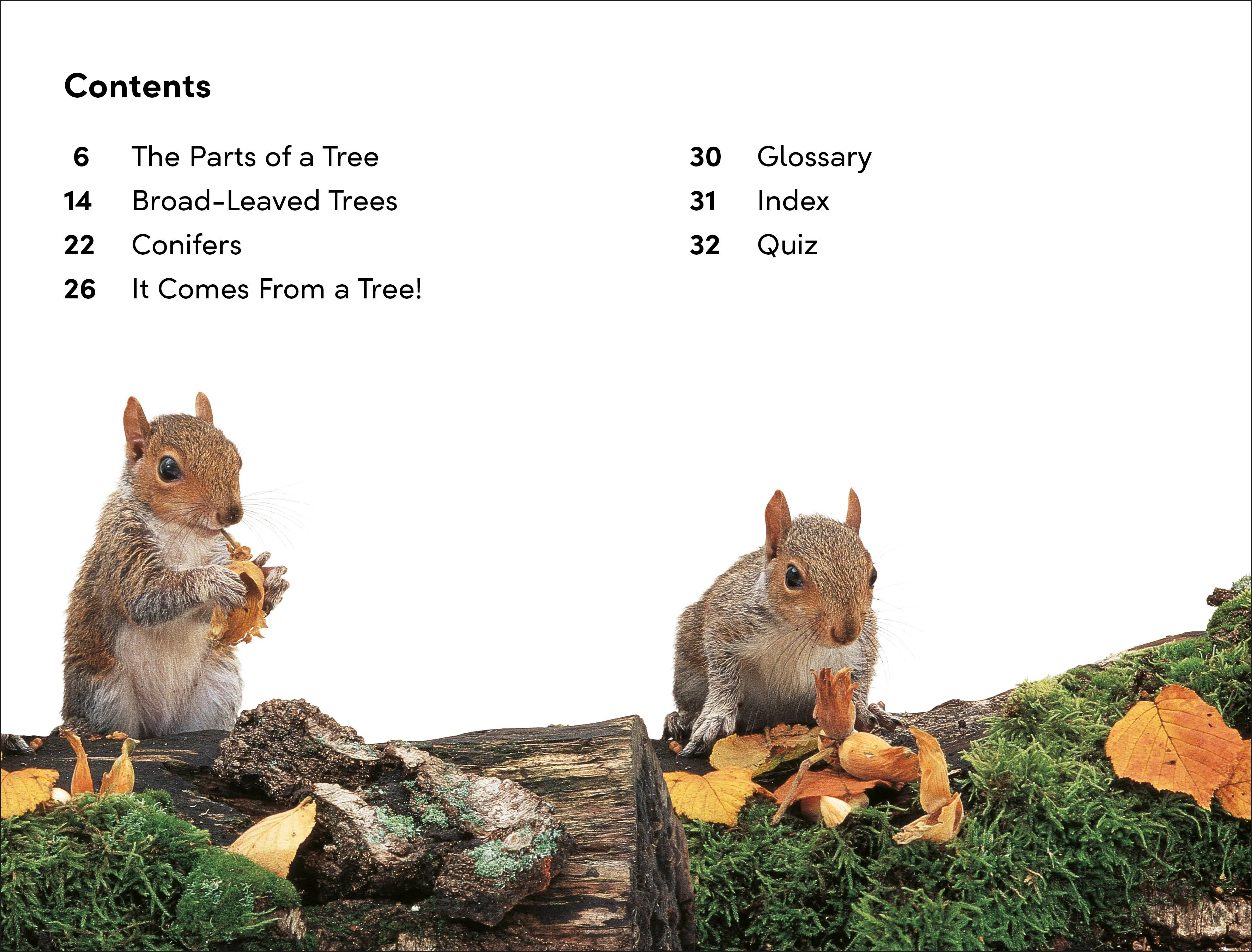 DK Super Readers Level 2 The Secret Life of Trees - Image 2