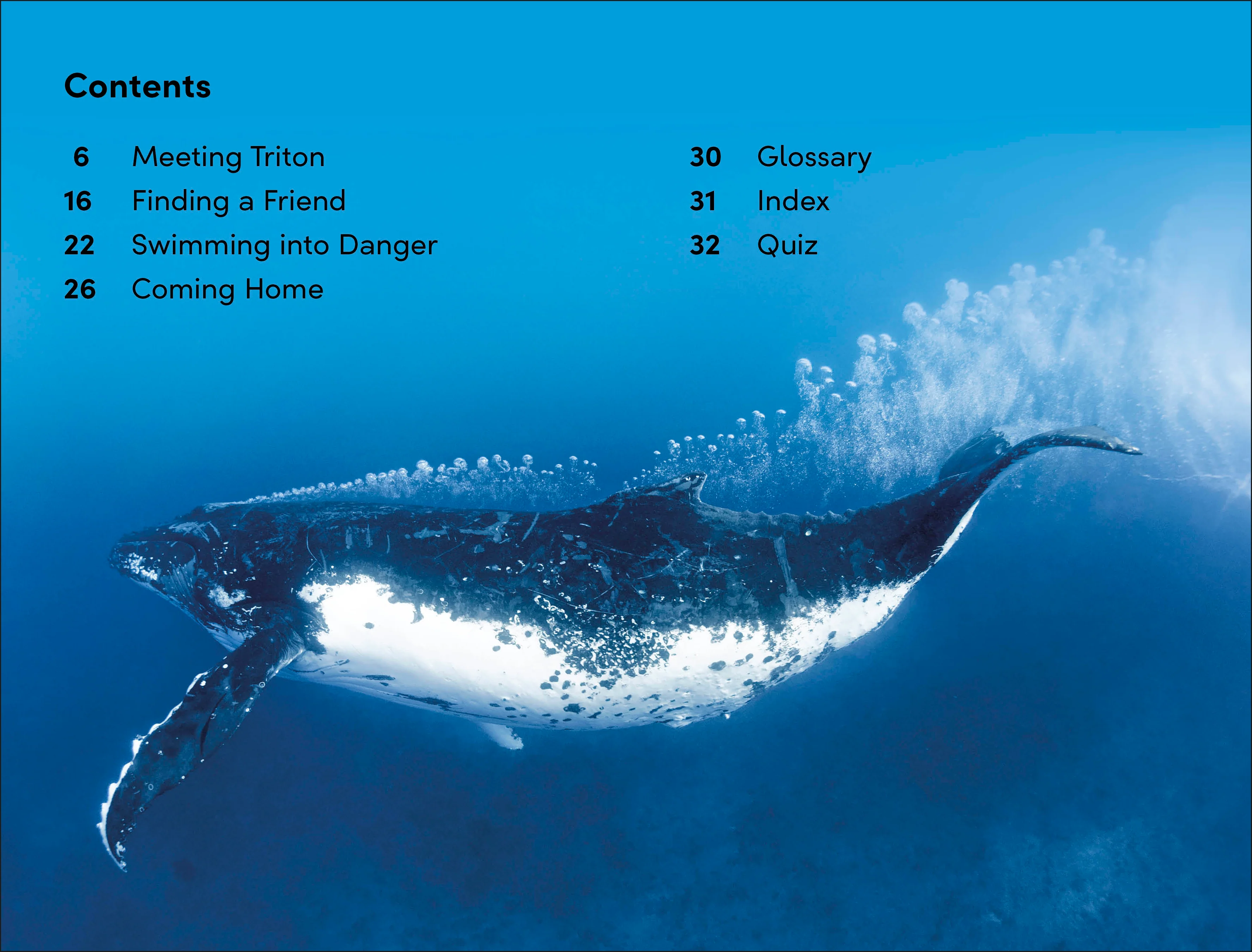 DK Super Readers Level 2 Journey of a Humpback Whale - Image 2