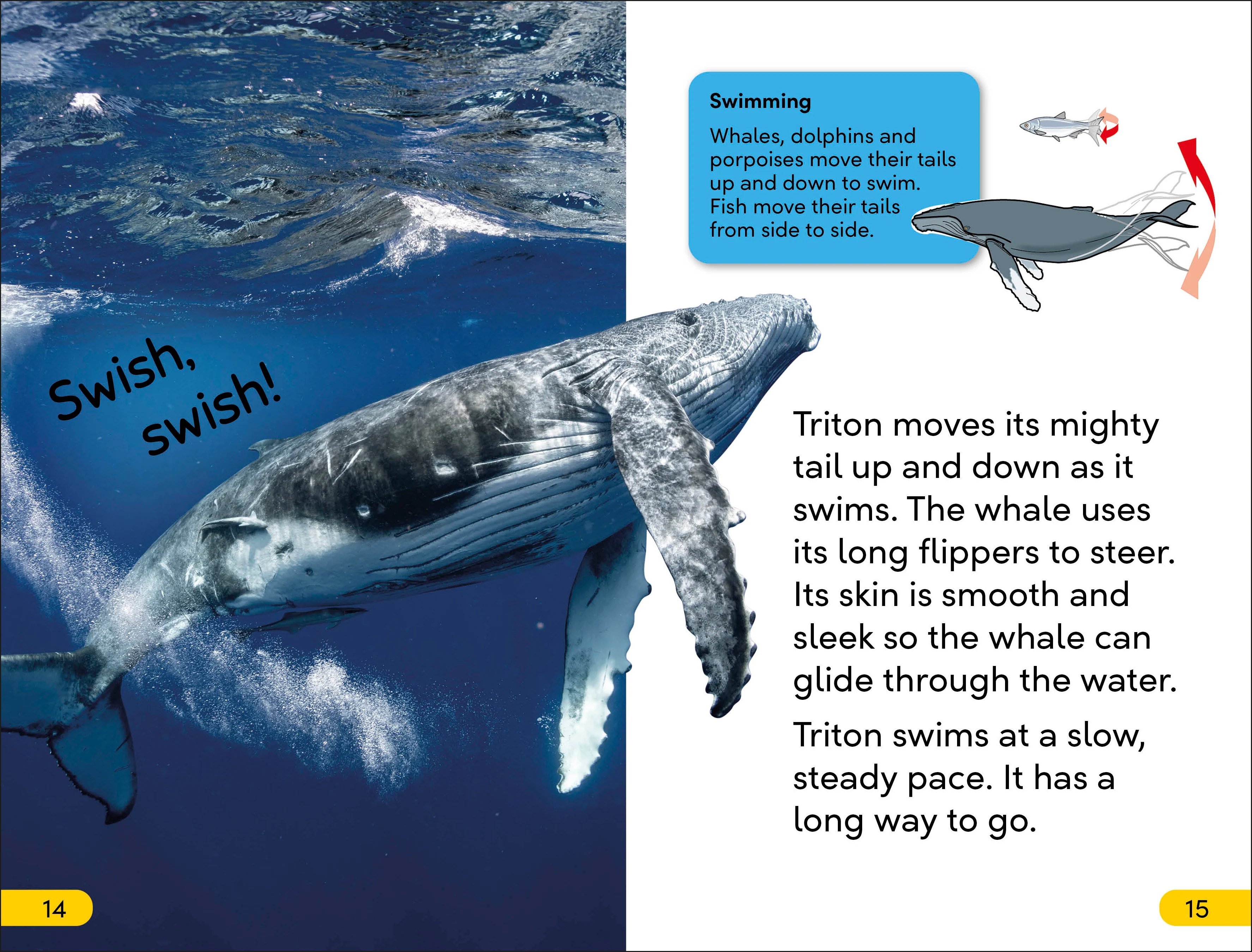 DK Super Readers Level 2 Journey of a Humpback Whale - Image 3