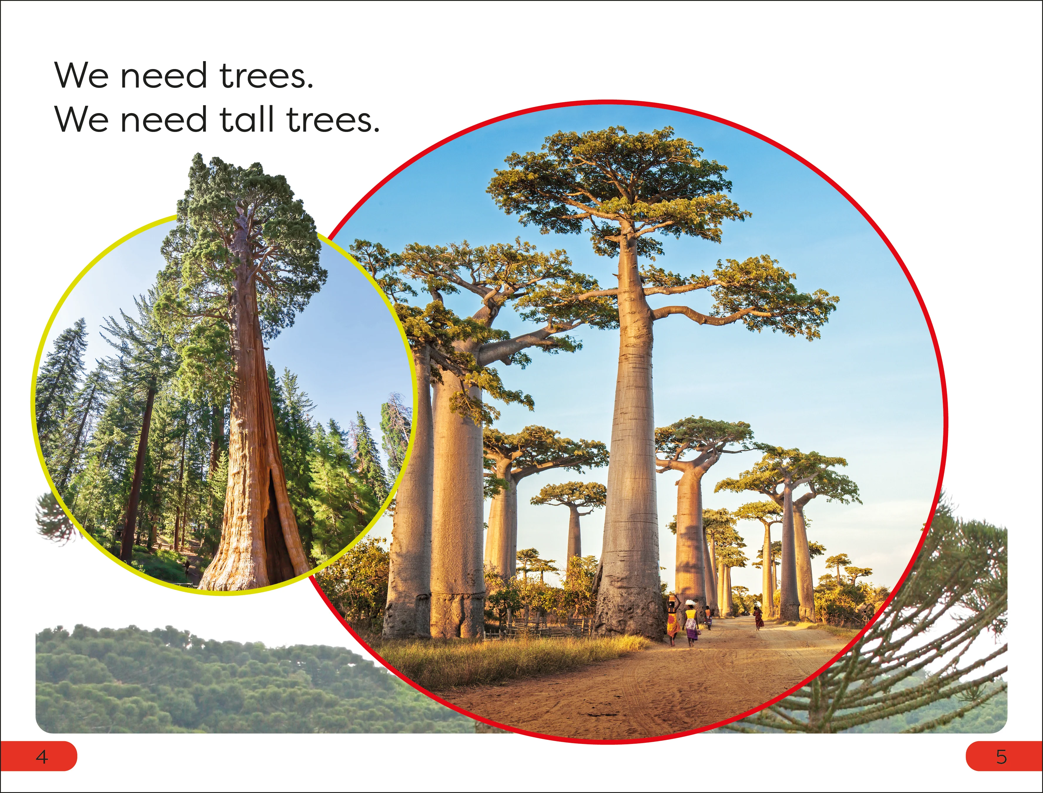 DK Super Readers Pre-Level Save the Trees - Image 2