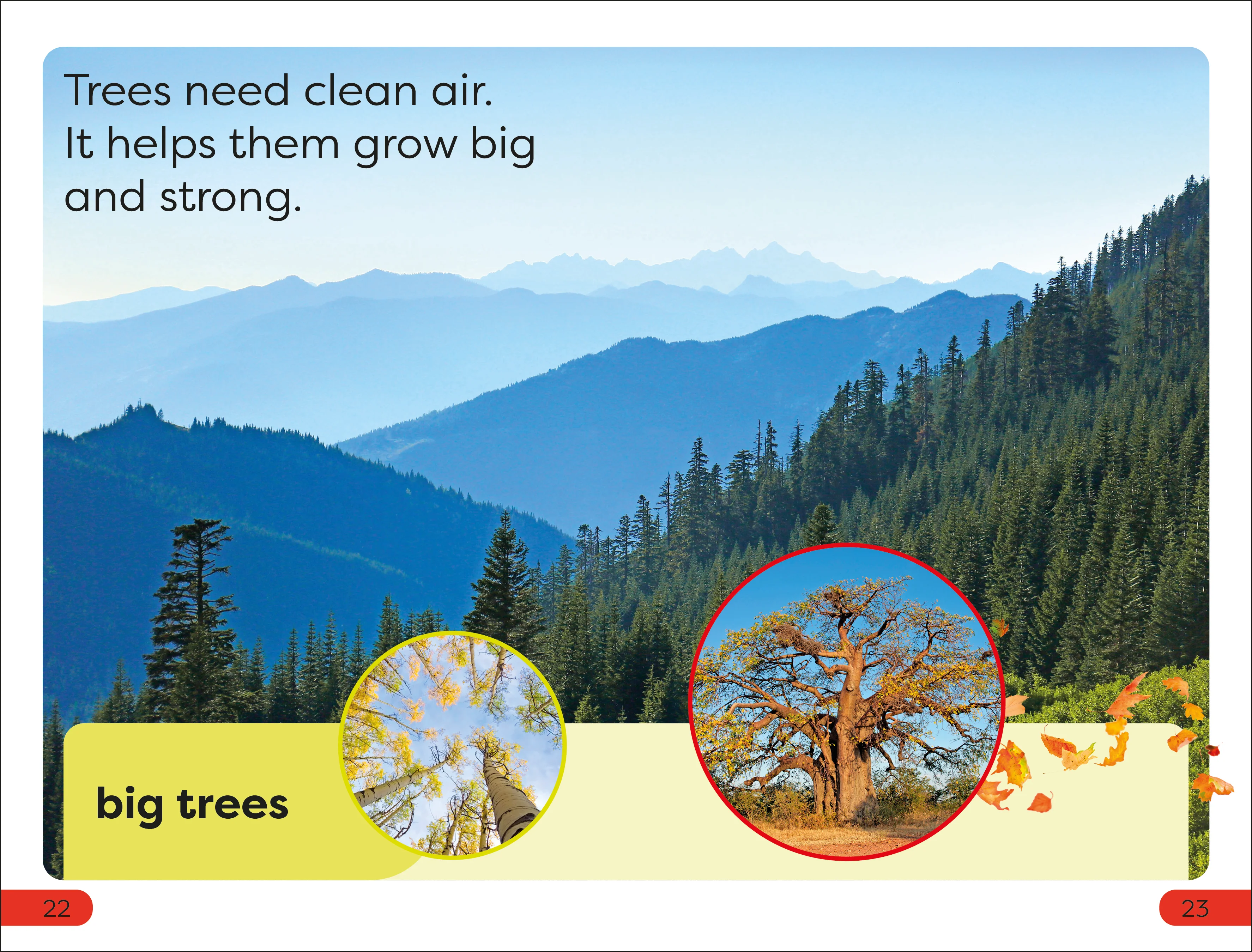 DK Super Readers Pre-Level Save the Trees - Image 3