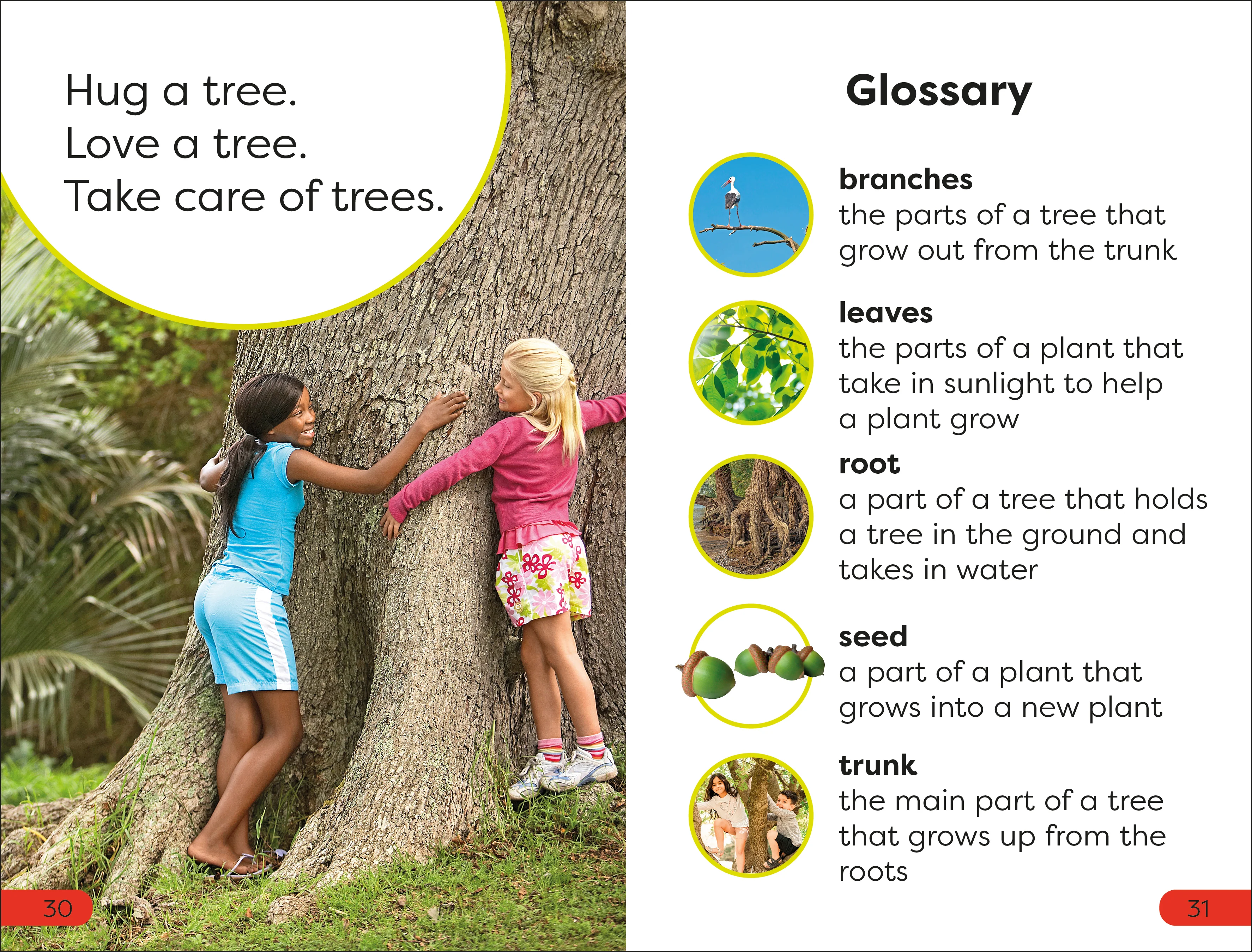 DK Super Readers Pre-Level Save the Trees - Image 4