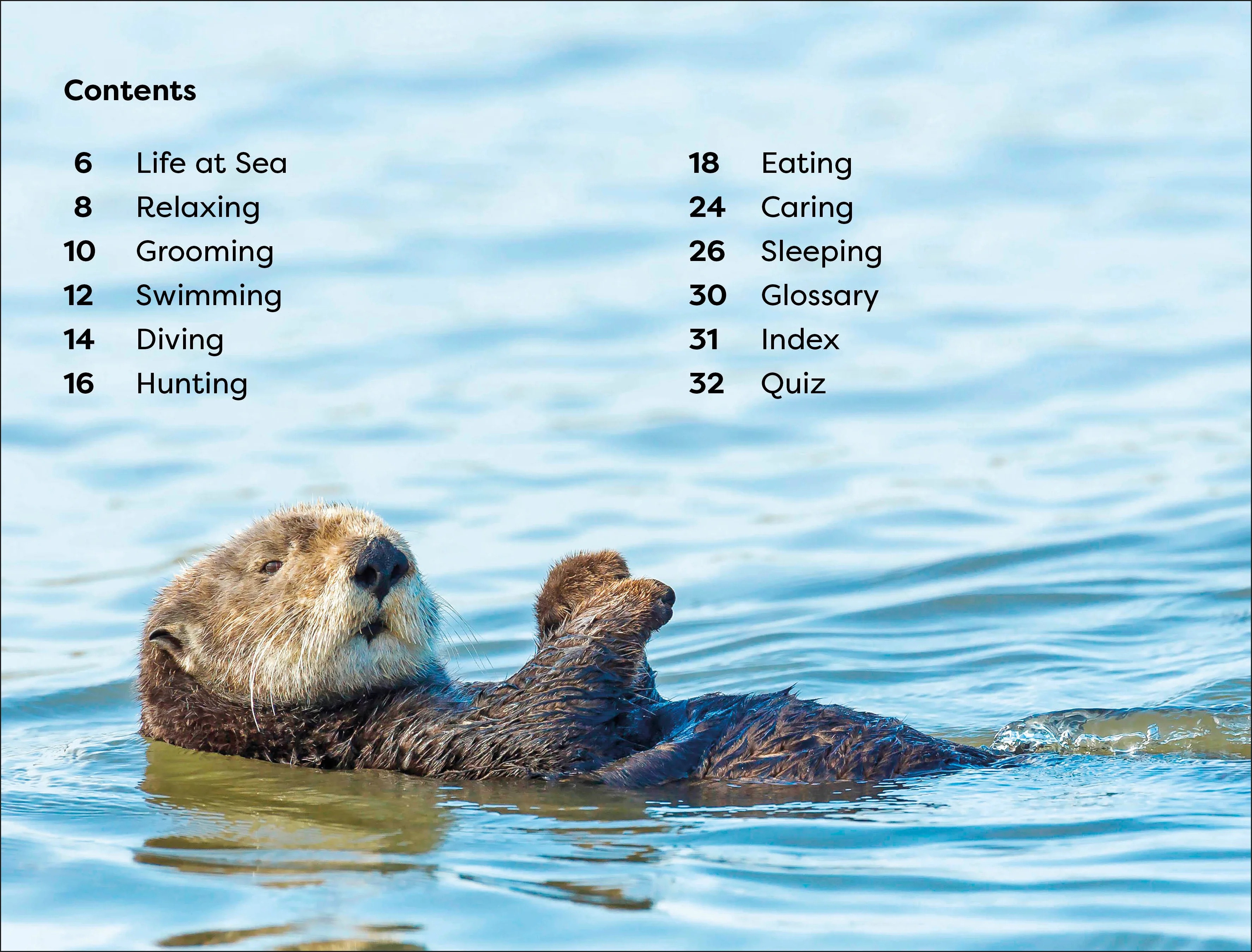DK Super Readers Level 1 Sea Otters - Image 2