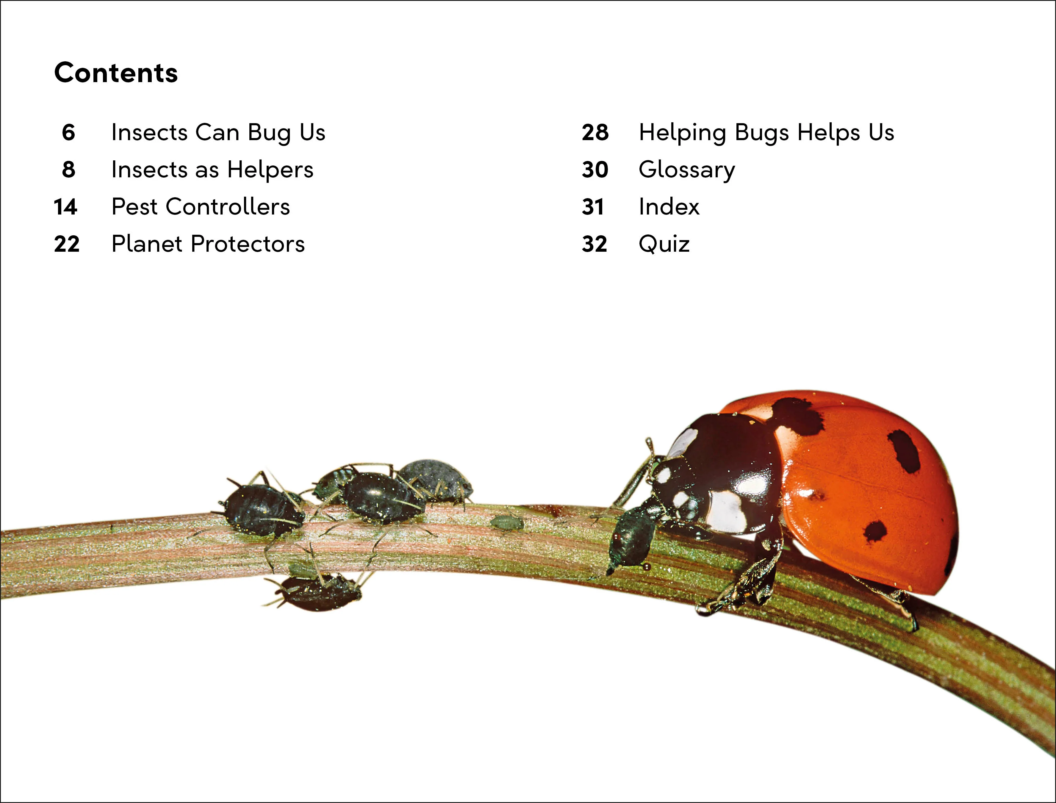 DK Super Readers Level 2 Bugs and Us - Image 2