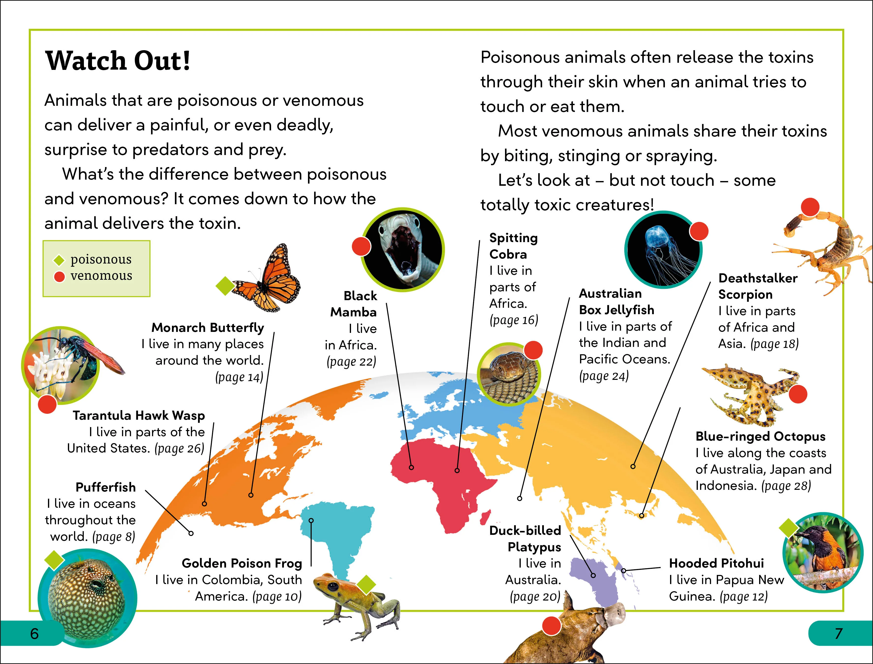 DK Super Readers Level 3 Poisonous and Venomous Animals - Image 3
