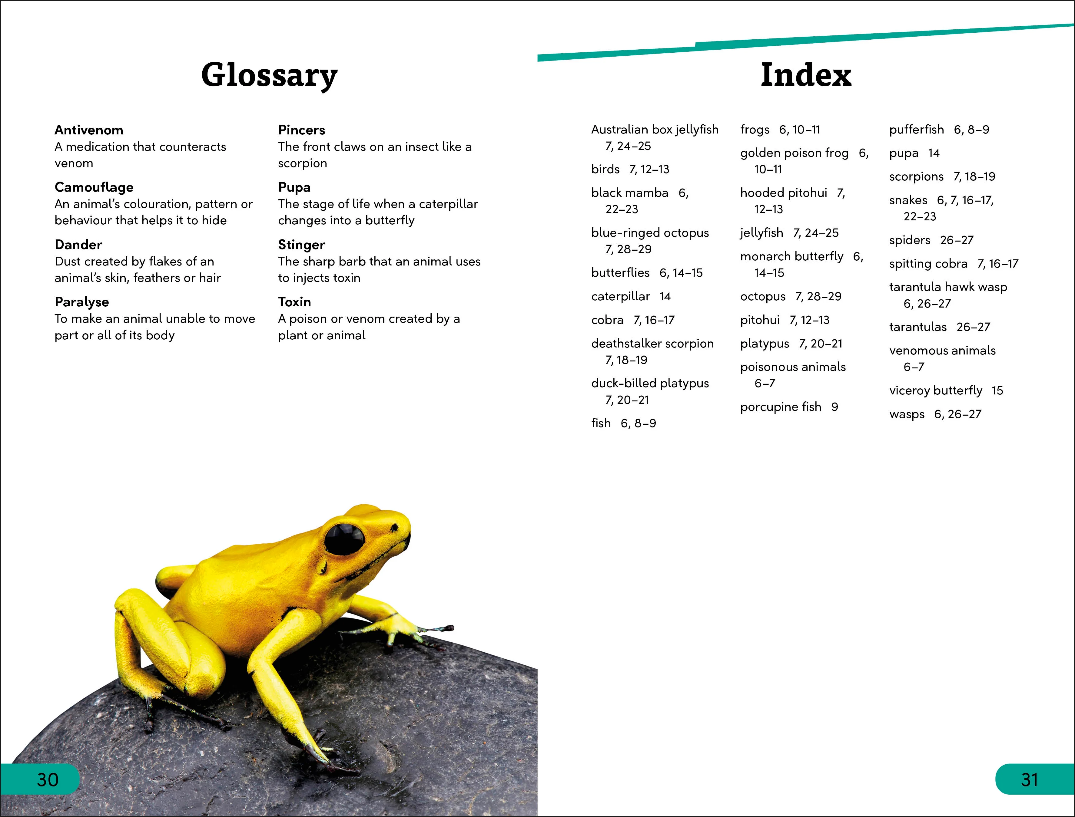 DK Super Readers Level 3 Poisonous and Venomous Animals - Image 4