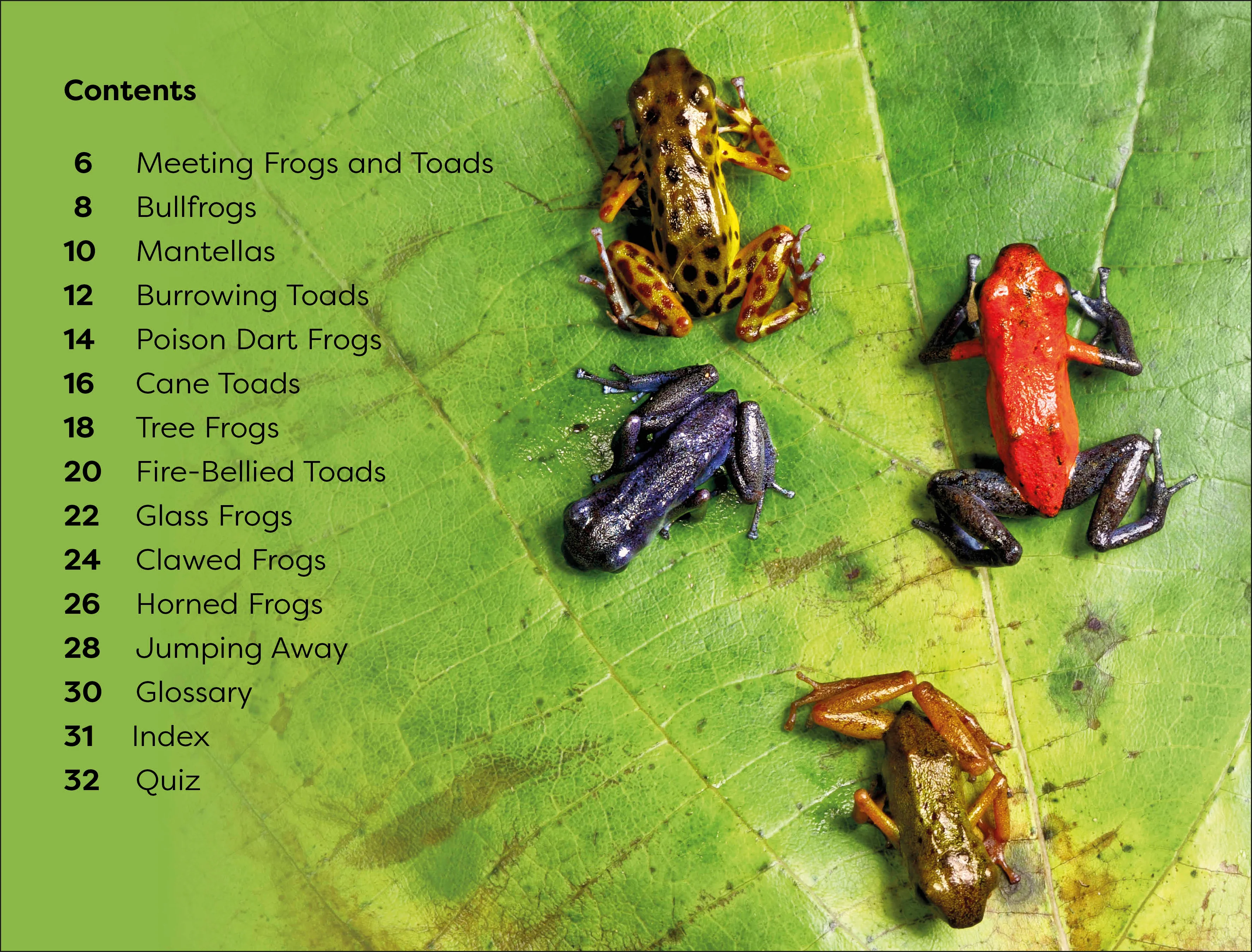 DK Super Readers Level 1 Frogs and Toads - Image 2