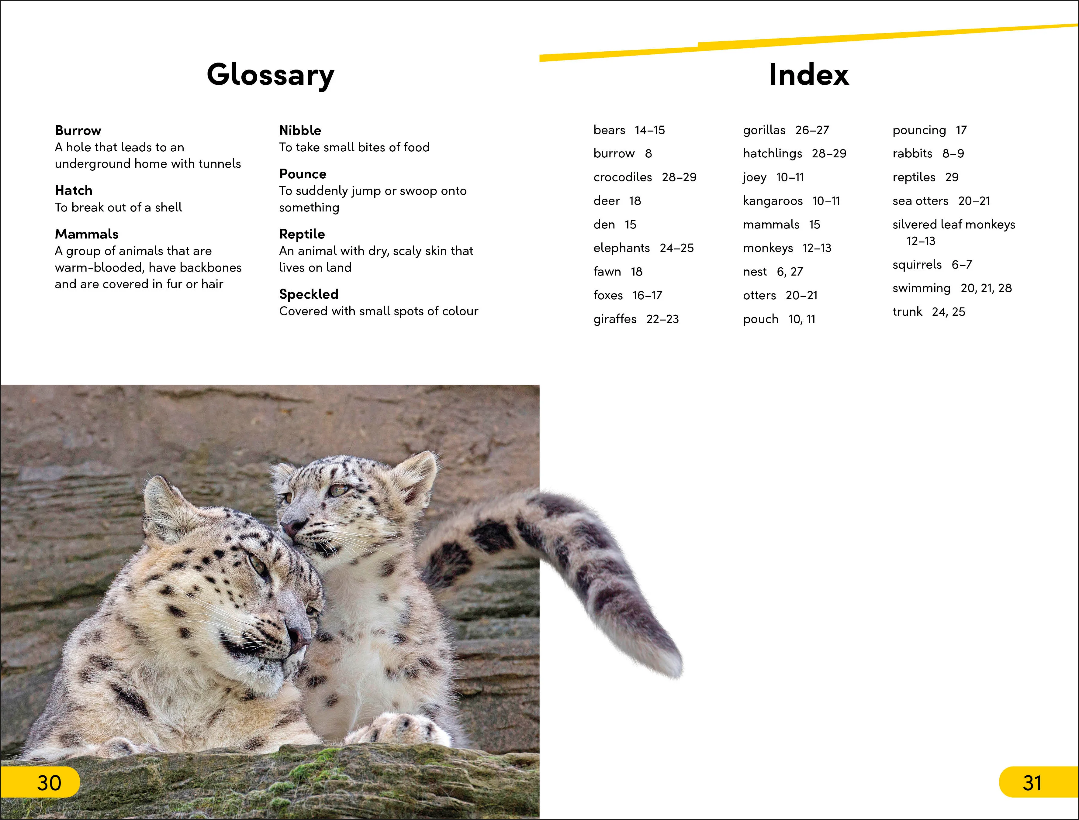 DK Super Readers Level 2 Wild Baby Animals - Image 4