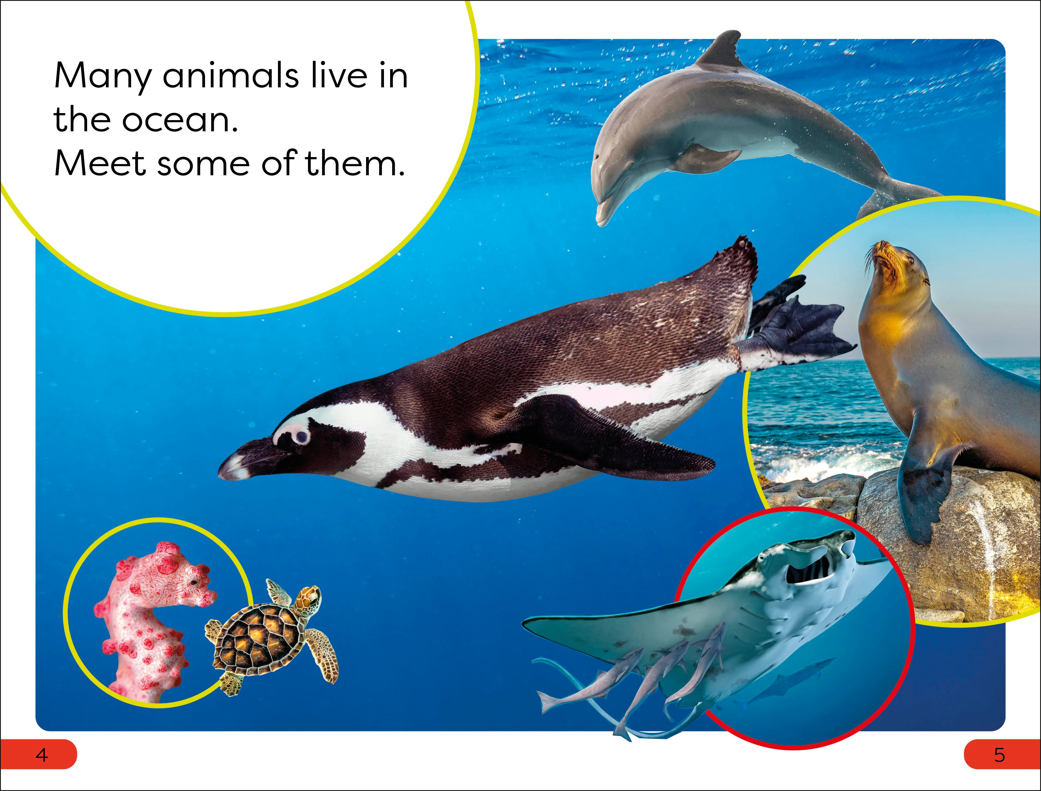 DK Super Readers Pre-Level Ocean Animals - Image 2