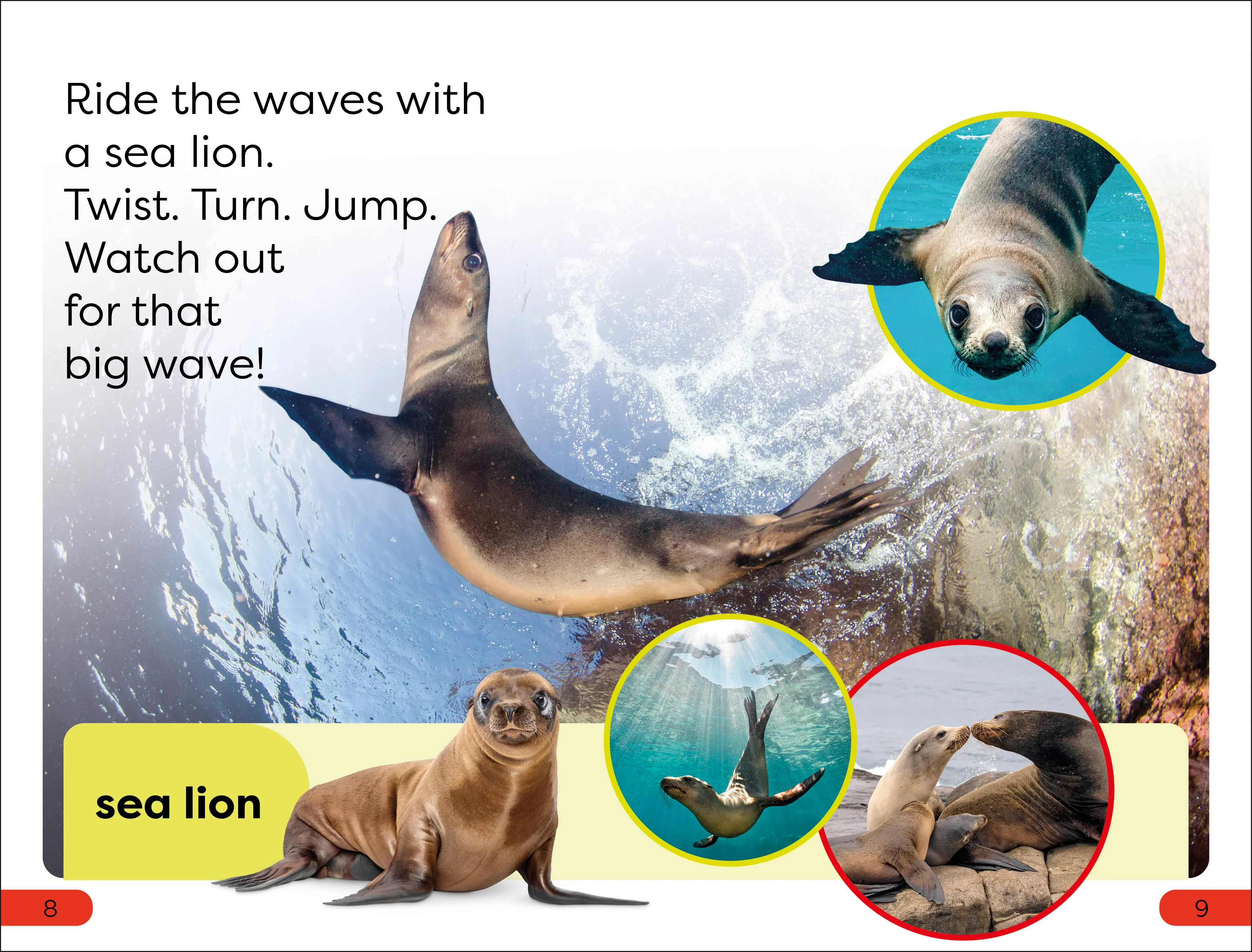 DK Super Readers Pre-Level Ocean Animals - Image 3