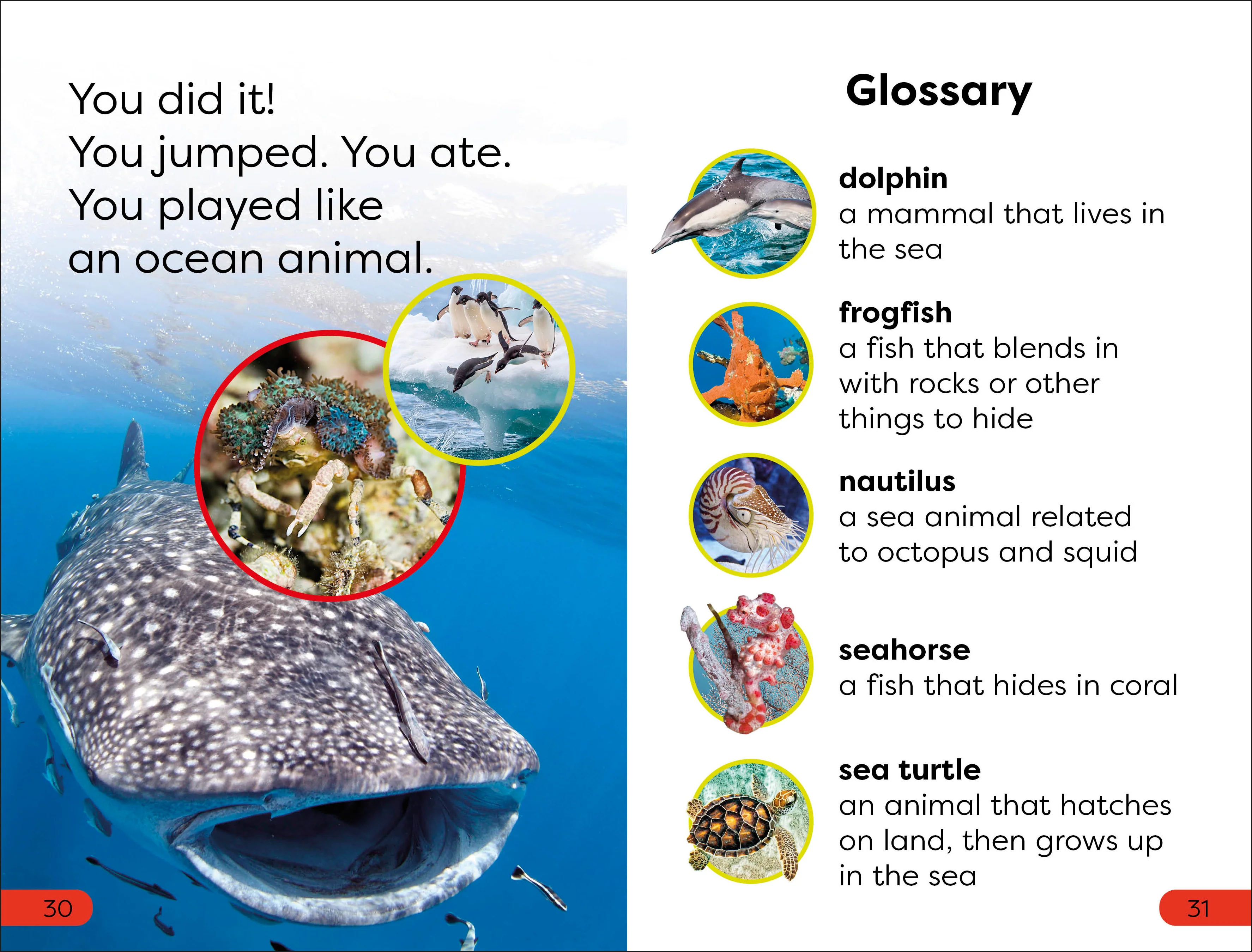 DK Super Readers Pre-Level Ocean Animals - Image 4