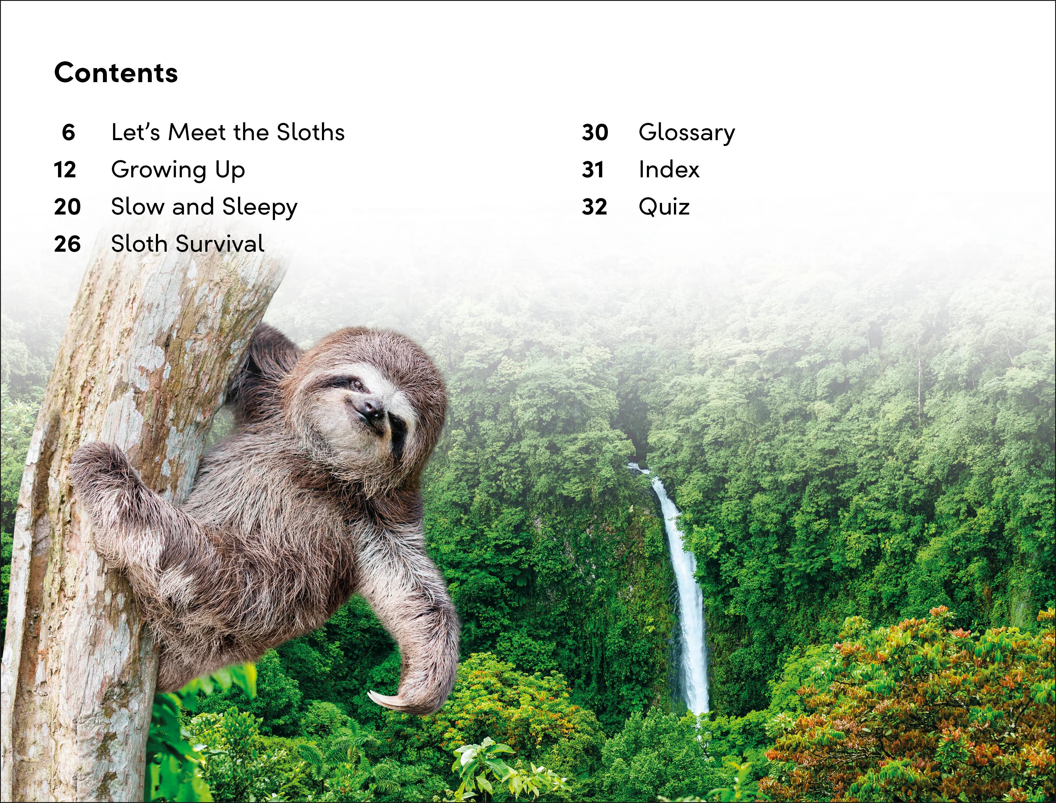 DK Super Readers Level 2 Sloths - Image 2