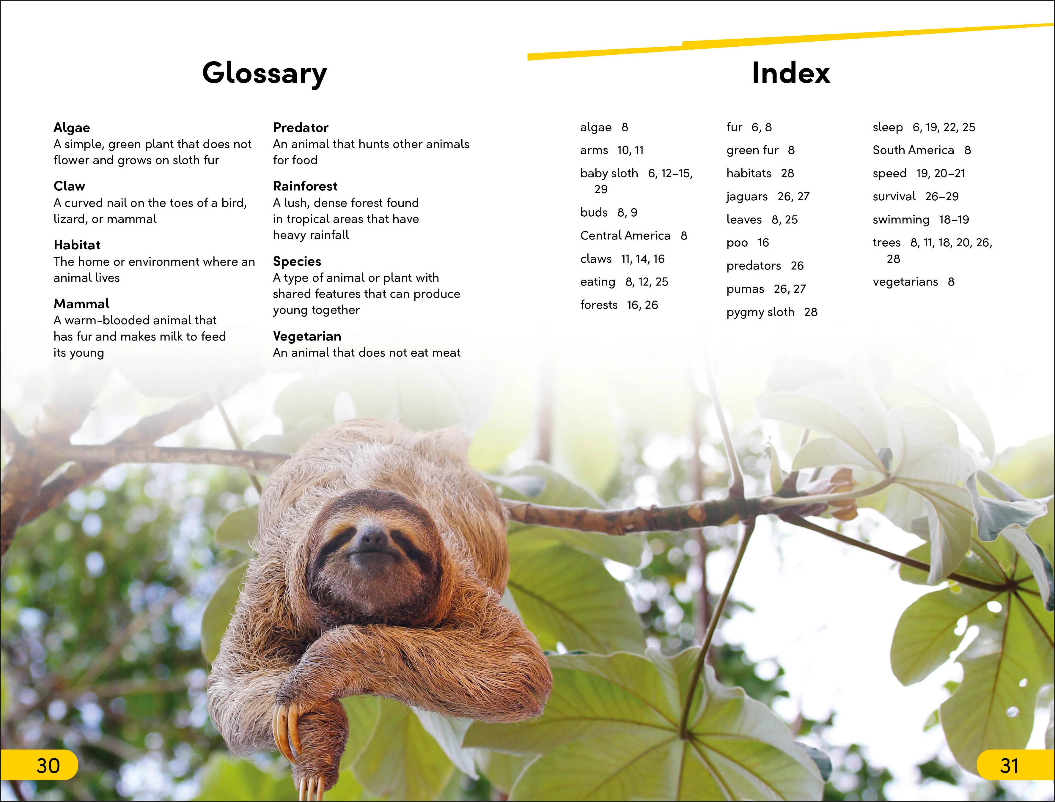 DK Super Readers Level 2 Sloths - Image 4