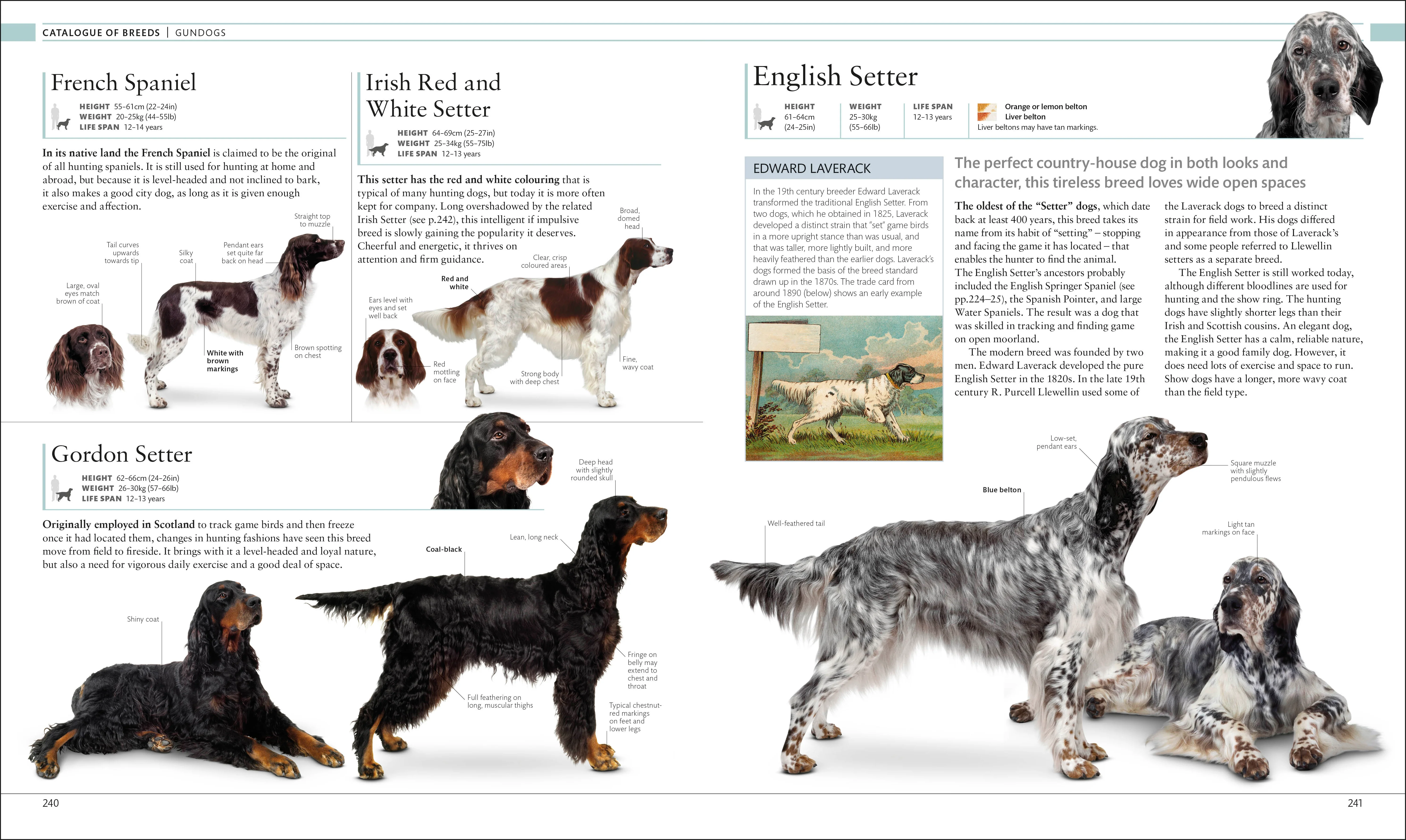 The Dog Encyclopedia - Image 7