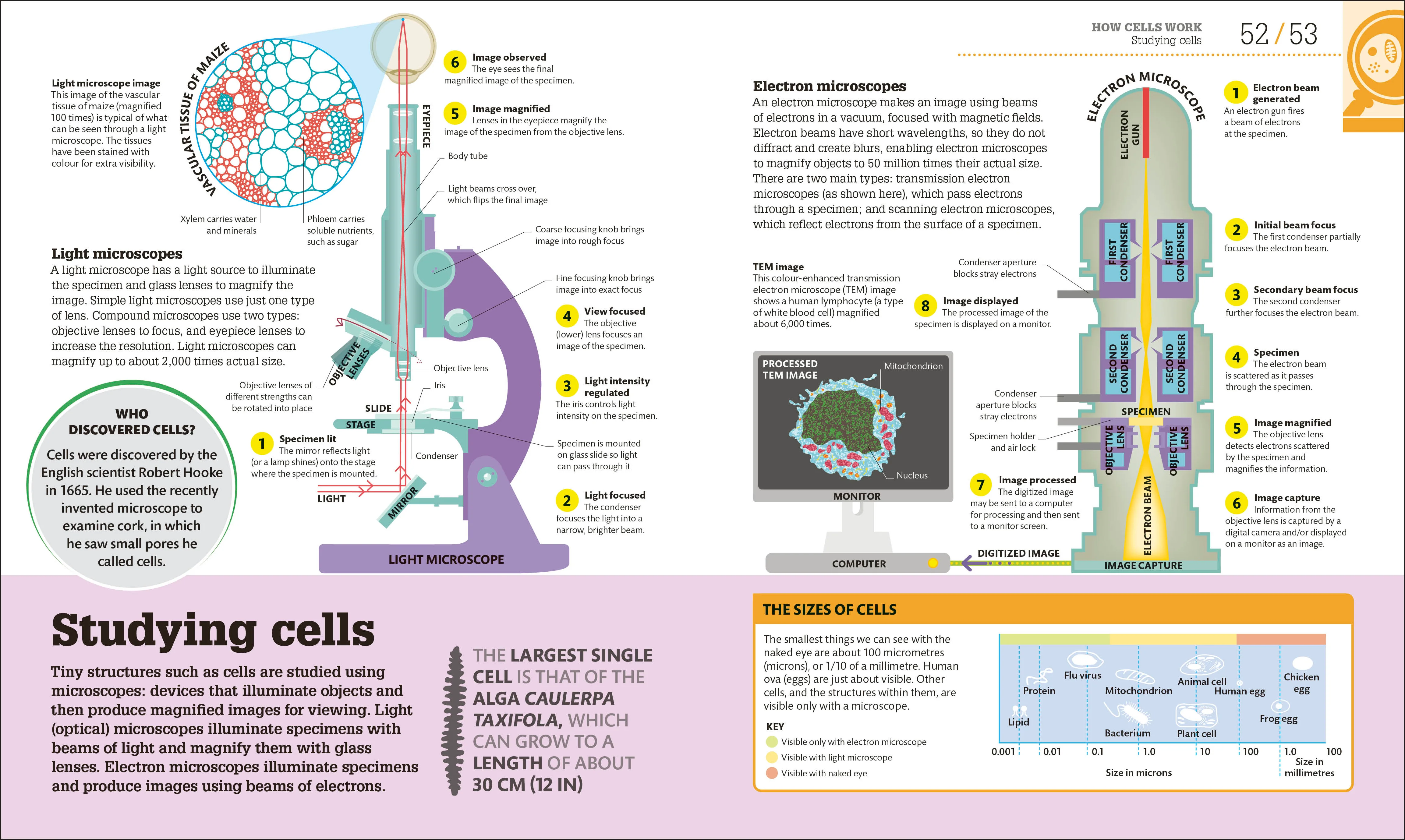 How Biology Works - Image 4