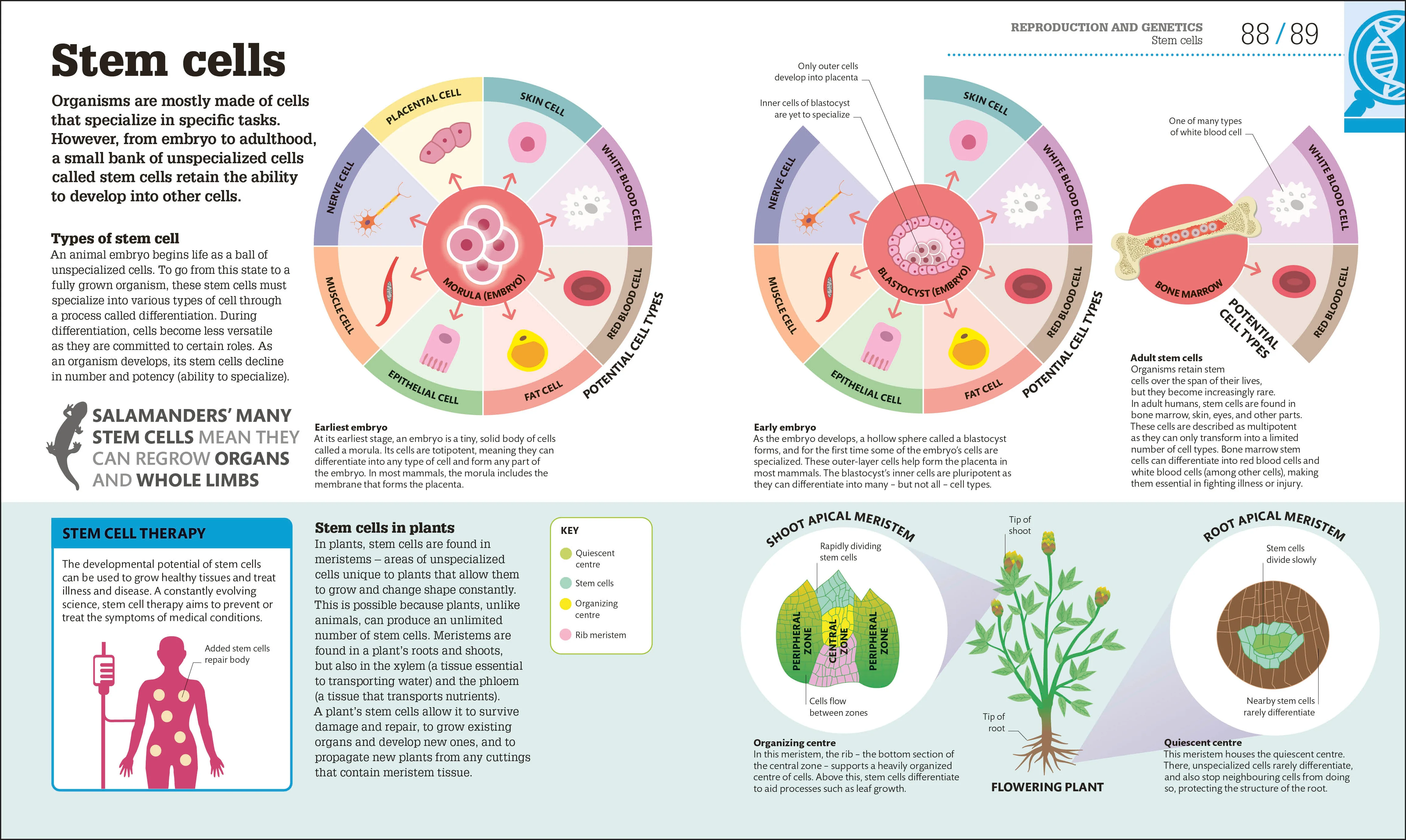 How Biology Works - Image 6