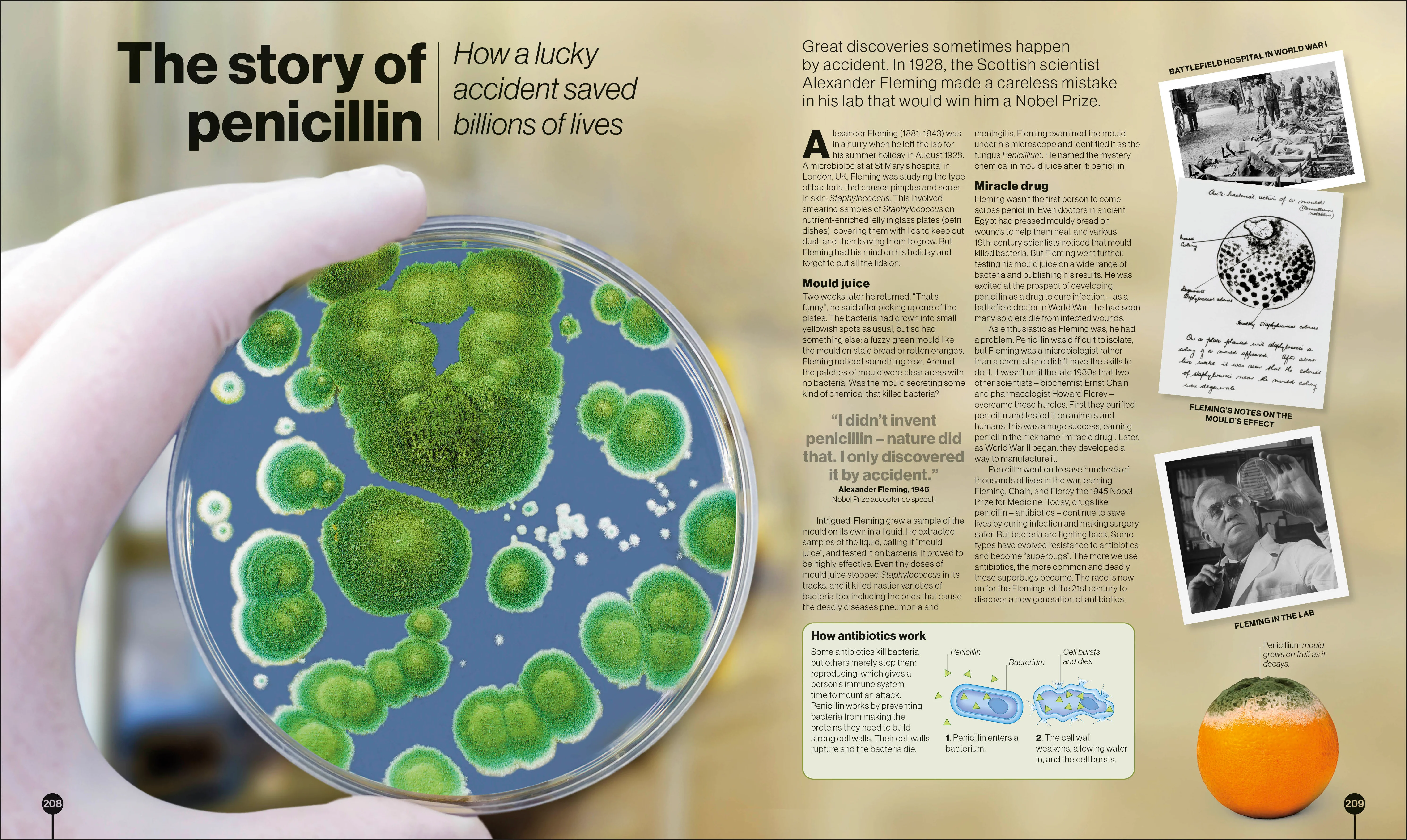 Timelines of Science - Image 10
