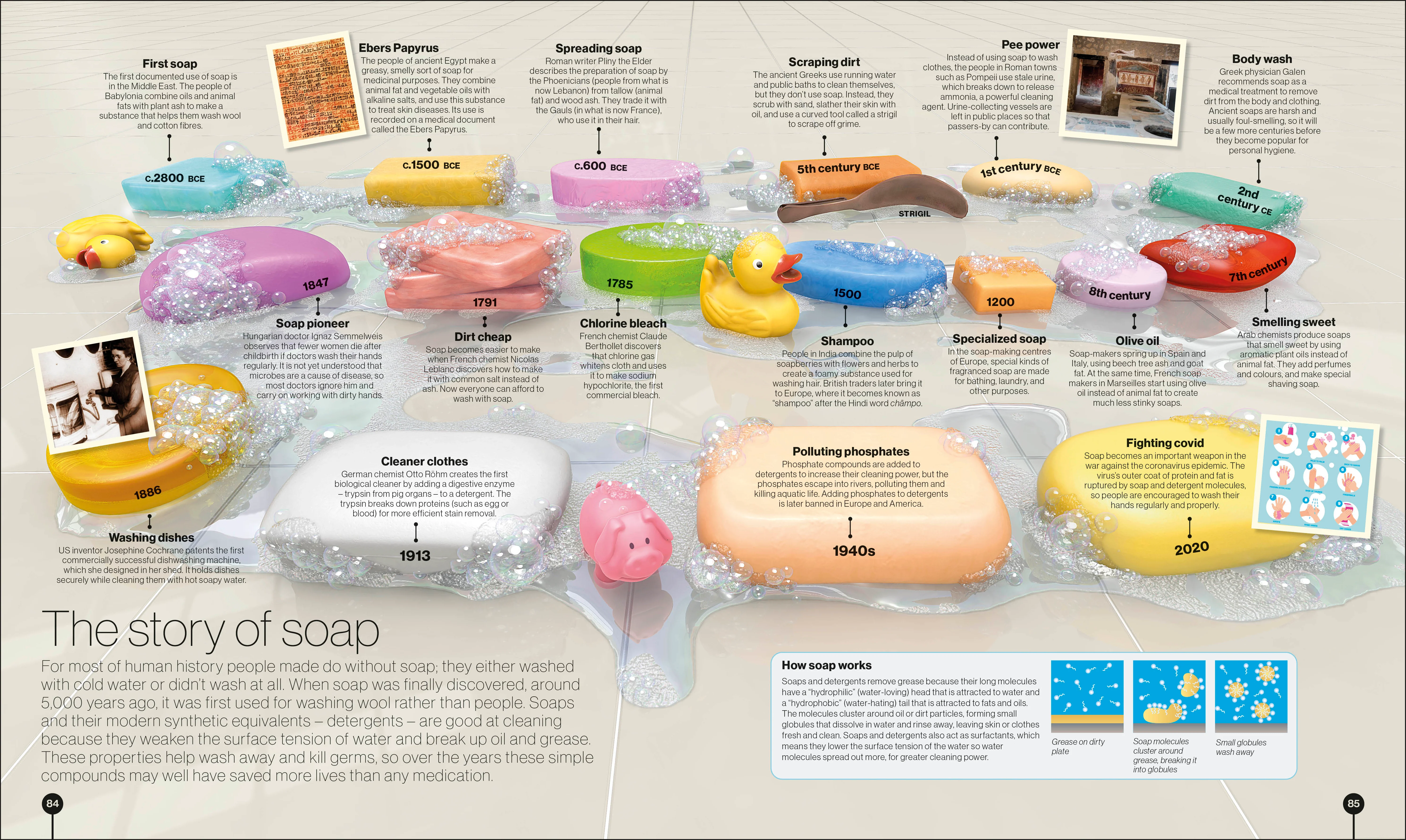 Timelines of Science - Image 6