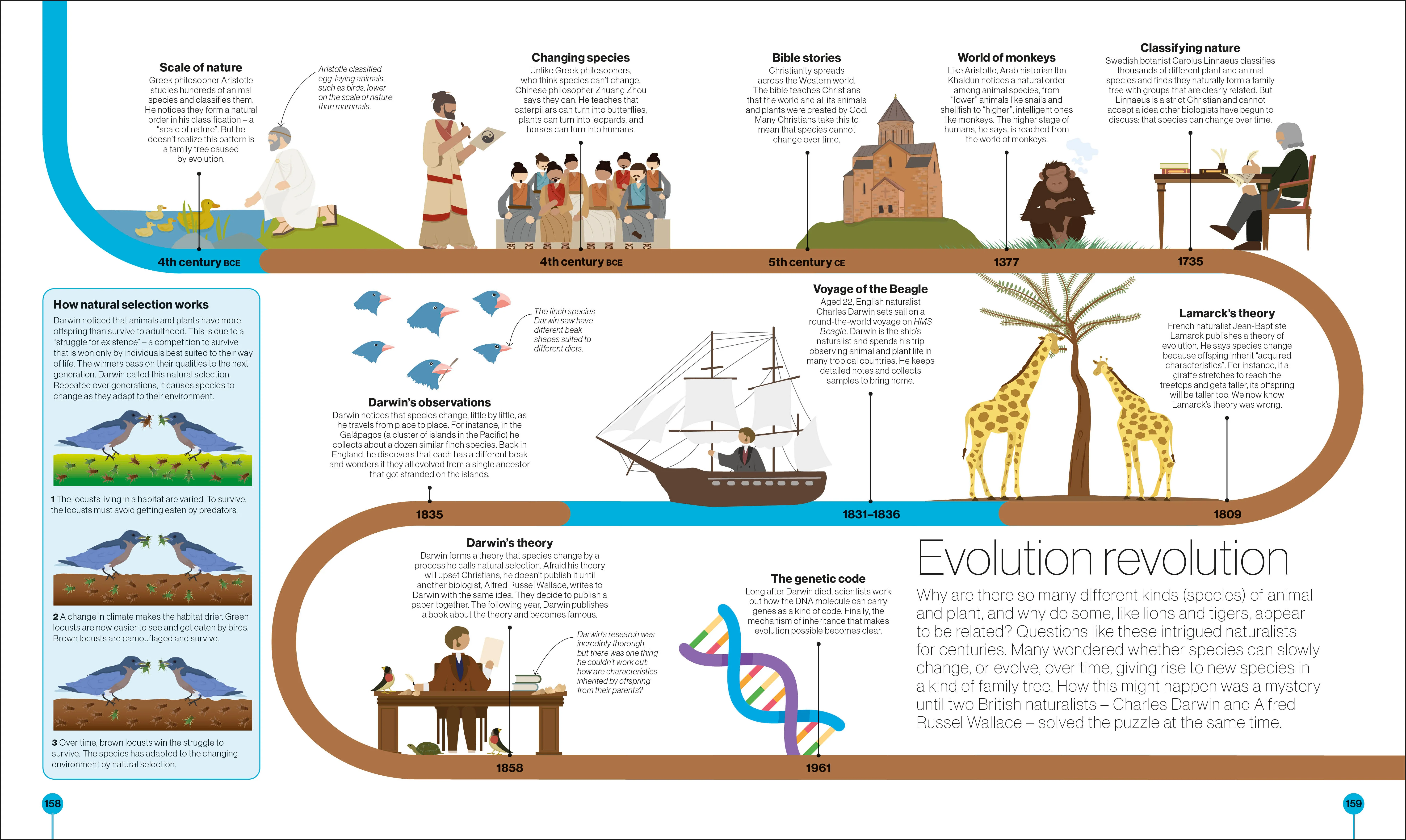 Timelines of Science - Image 7