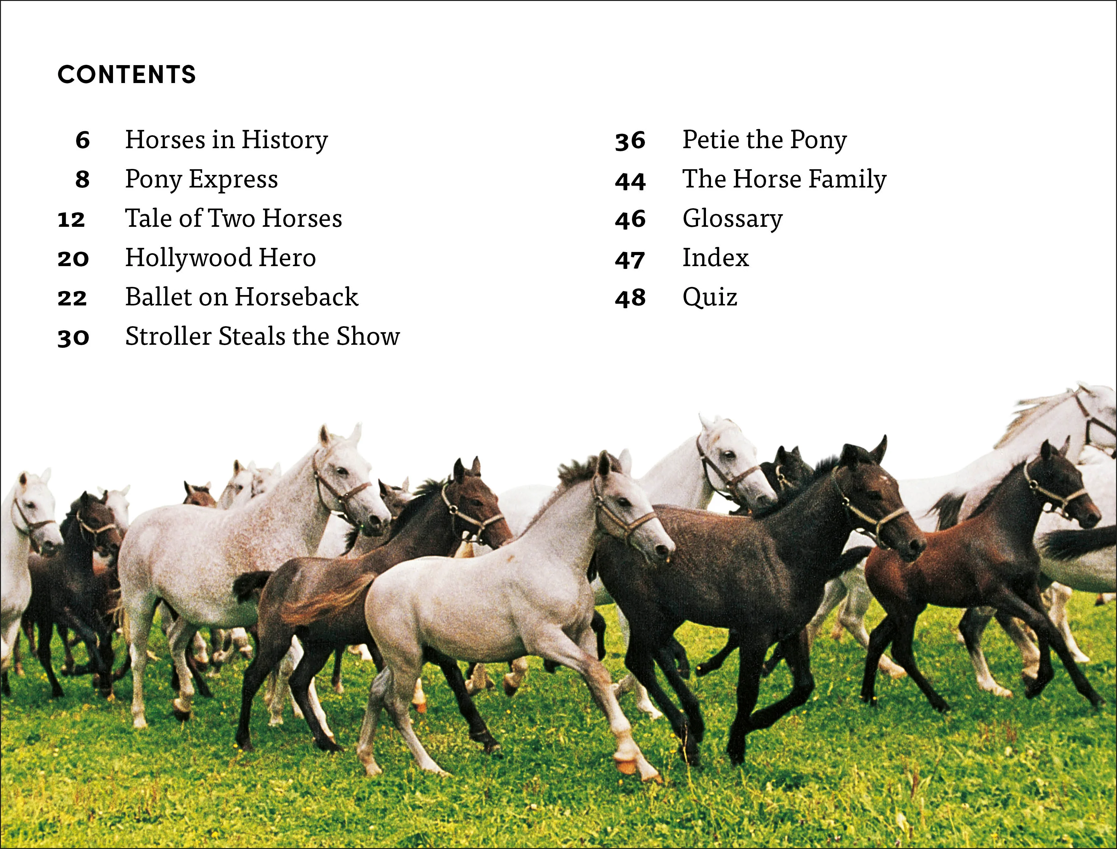 DK Super Readers Level 4 Horse Heroes - Image 2