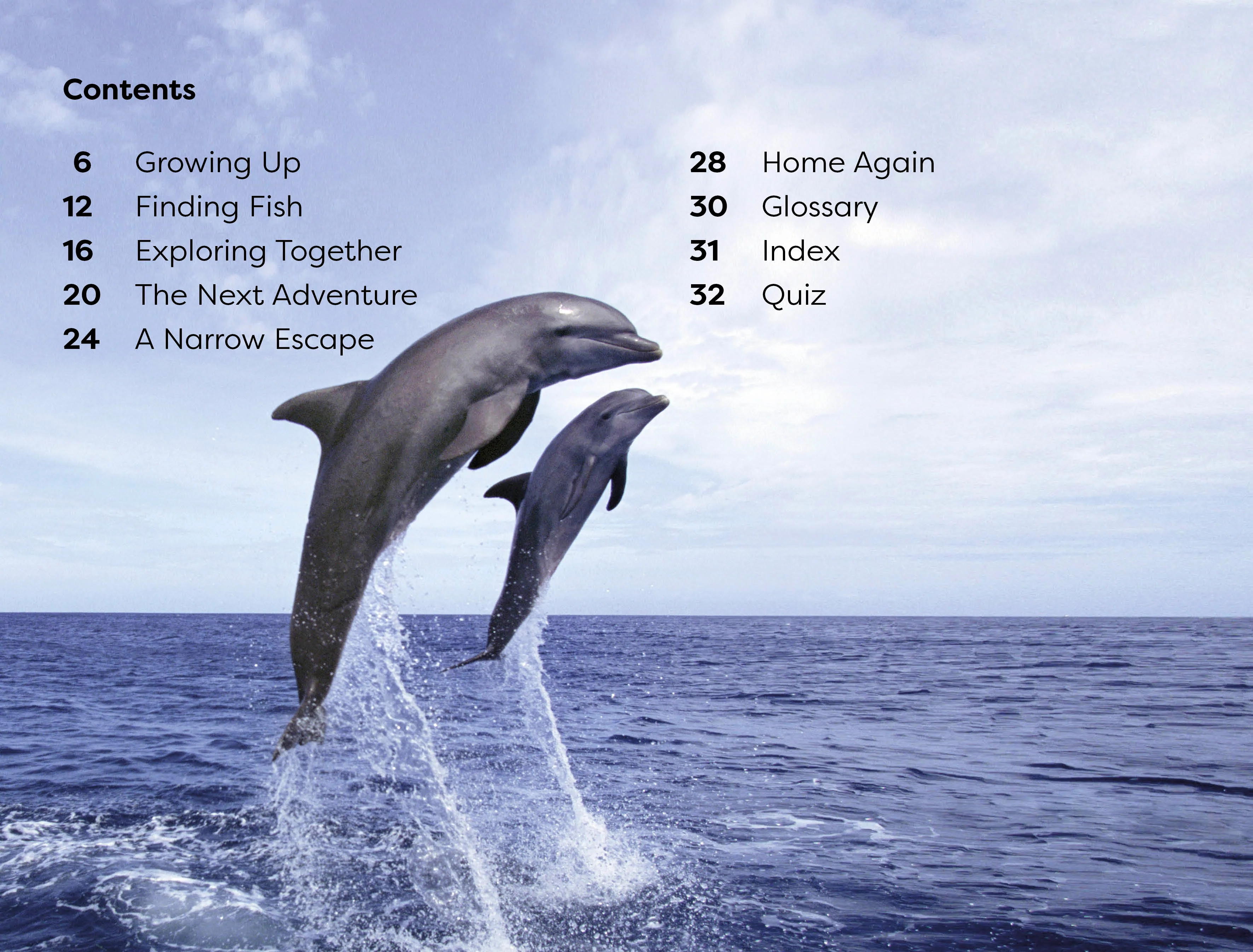 DK Super Readers Level 1 Diving Dolphin - Image 2